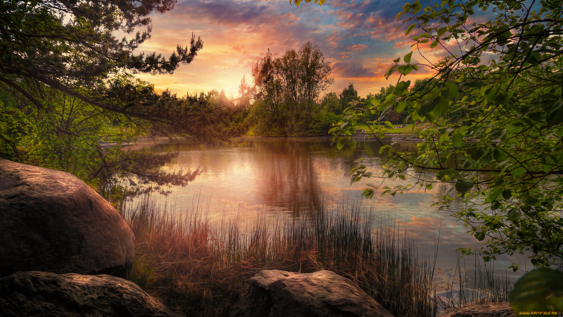 природа, реки, озера, рассвет