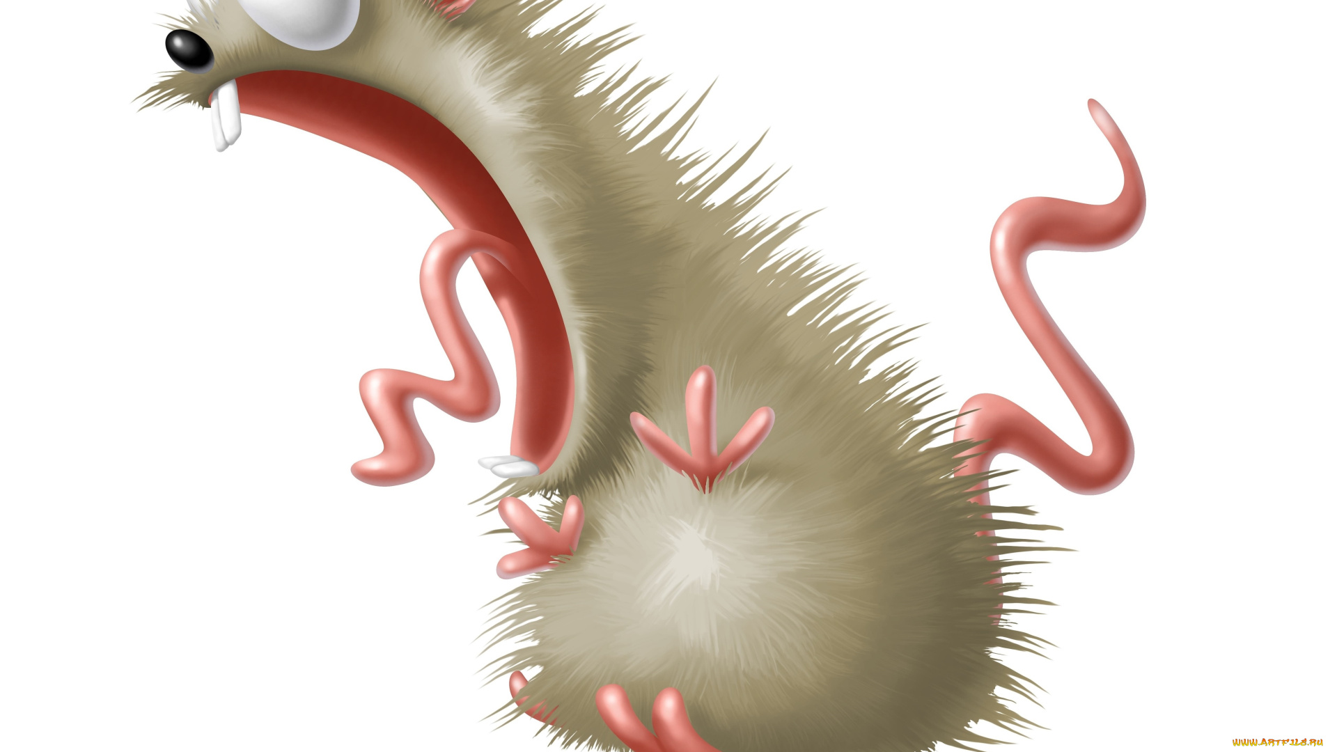 рисованное, минимализм, крыса