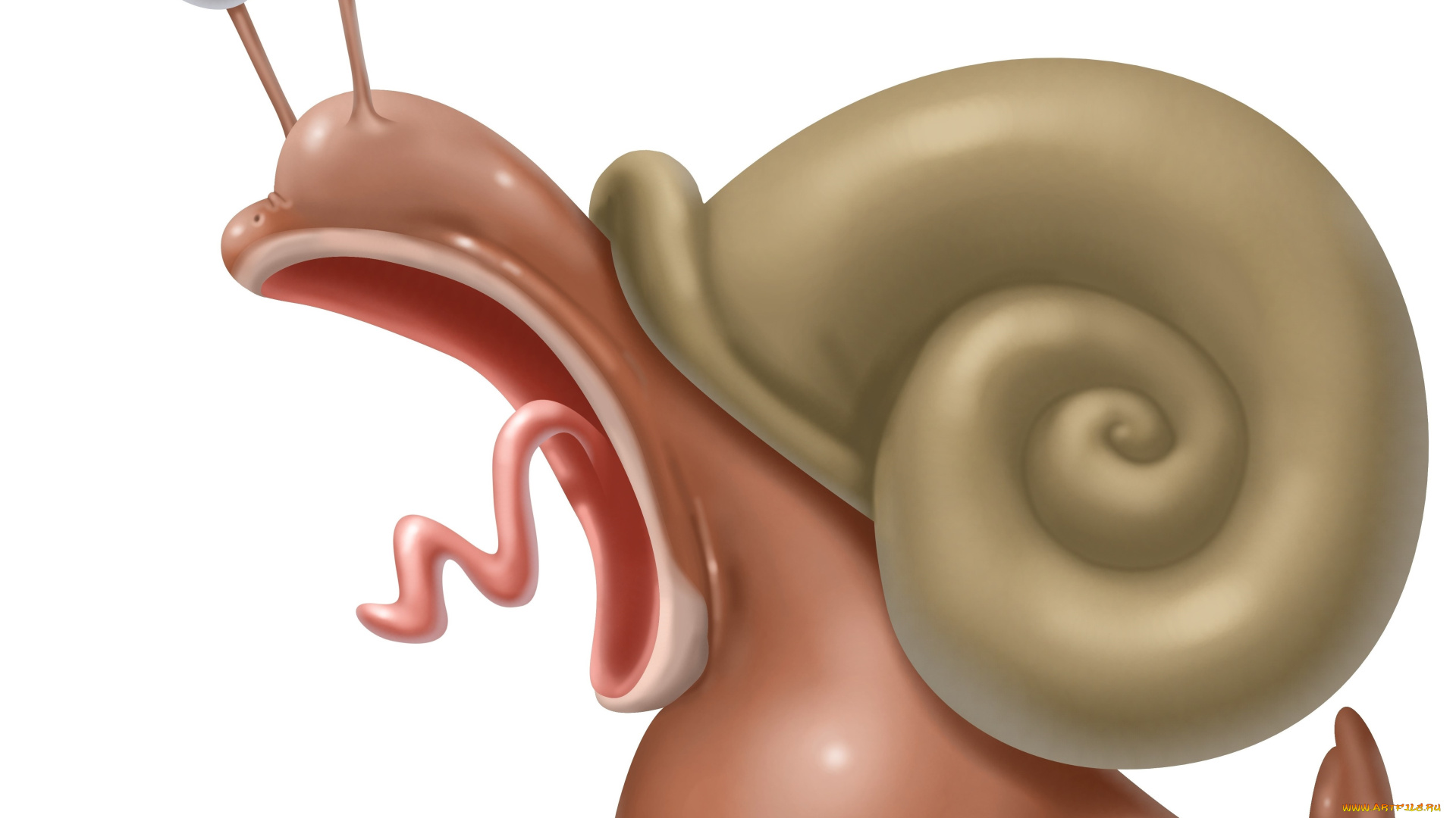 рисованное, минимализм, улитка