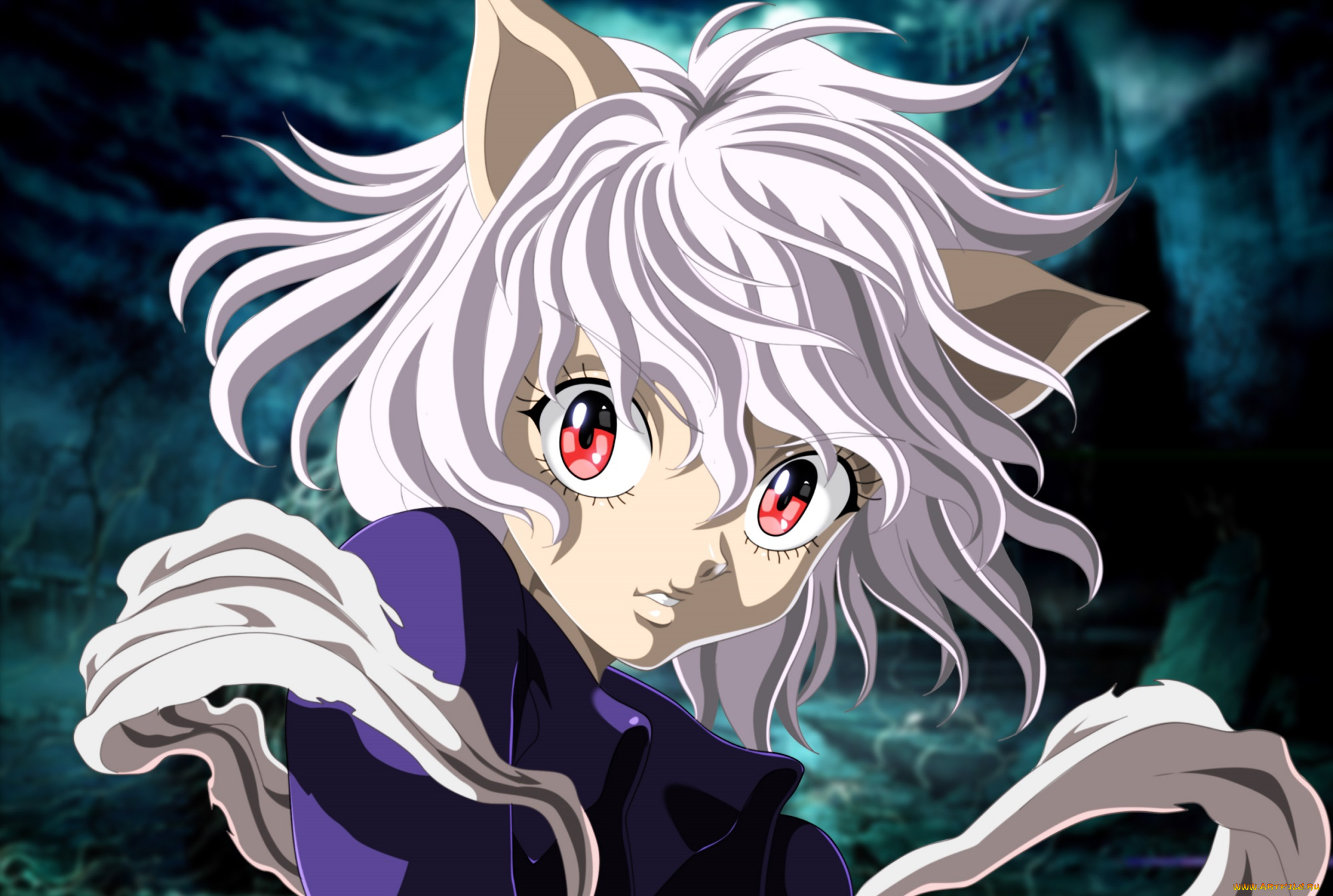 аниме, hunter, x, hunter, питу