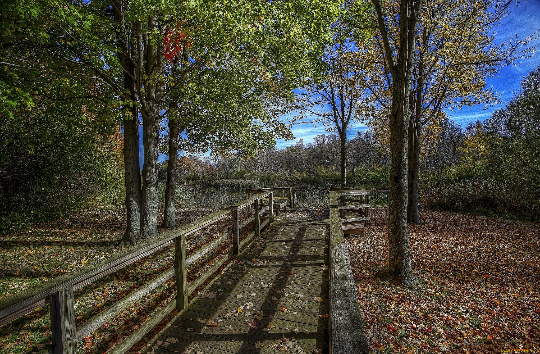 природа, дороги, тракт