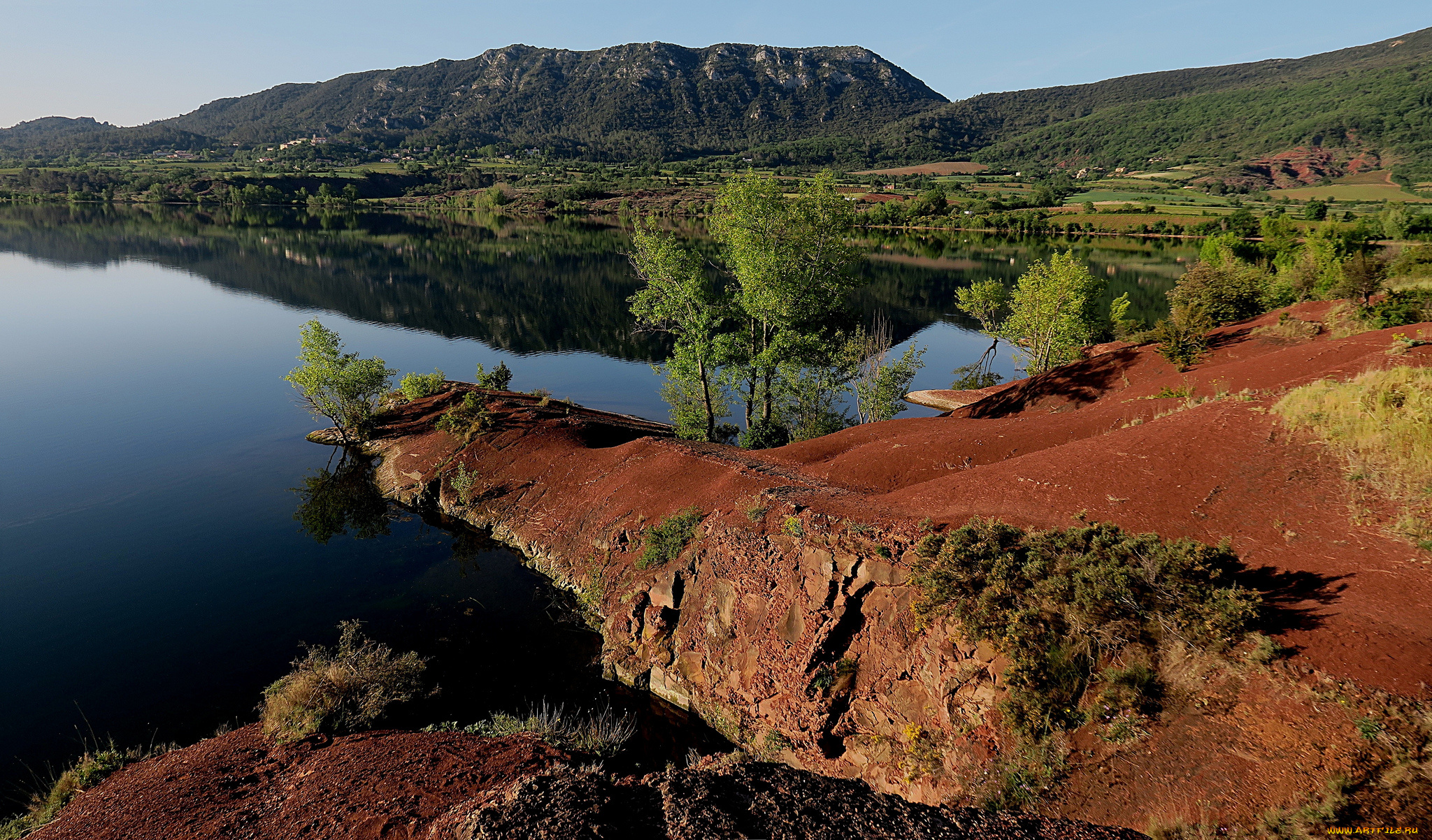 природа, реки, озера, река, лес