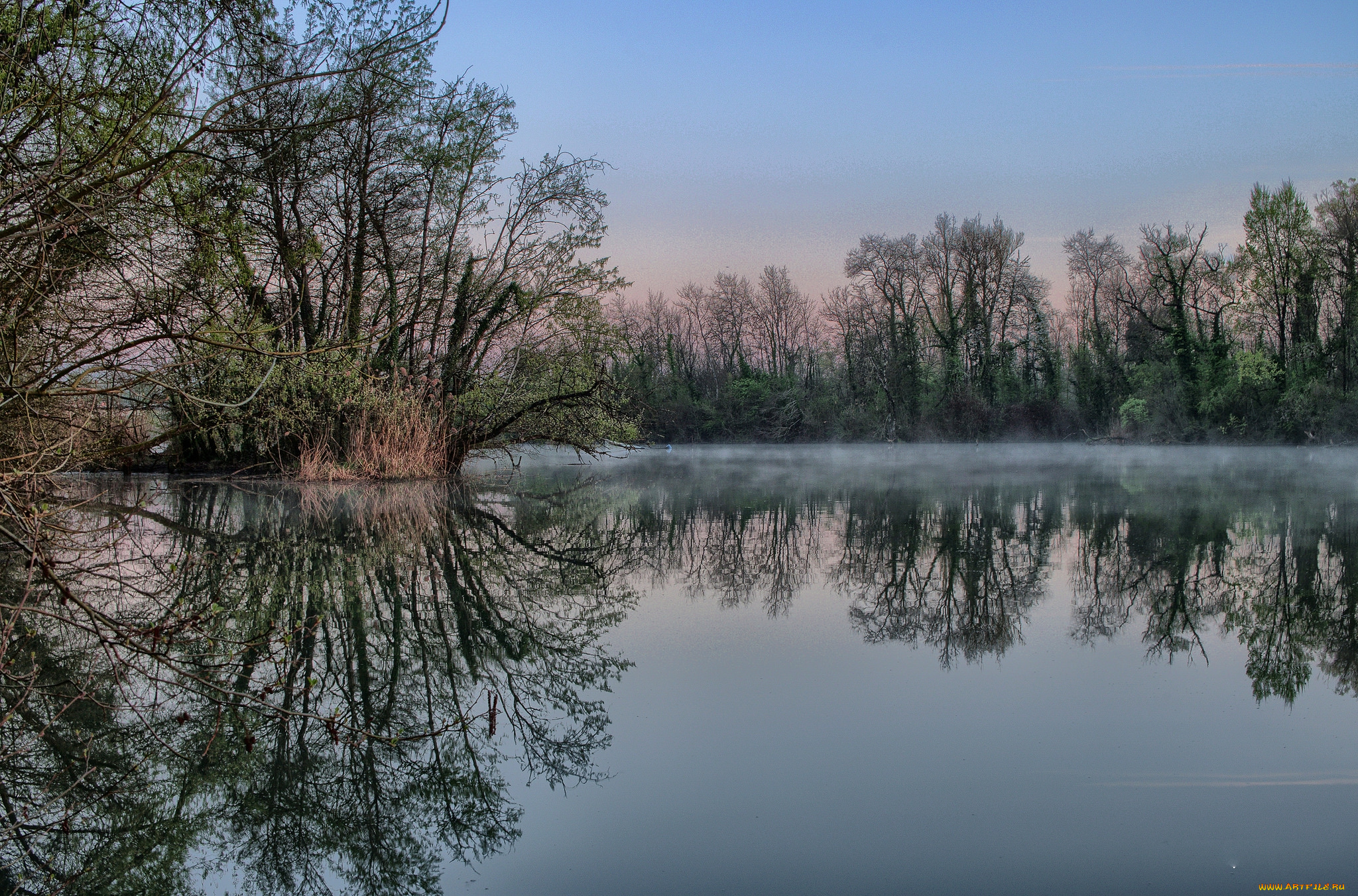 природа, реки, озера, лес, река