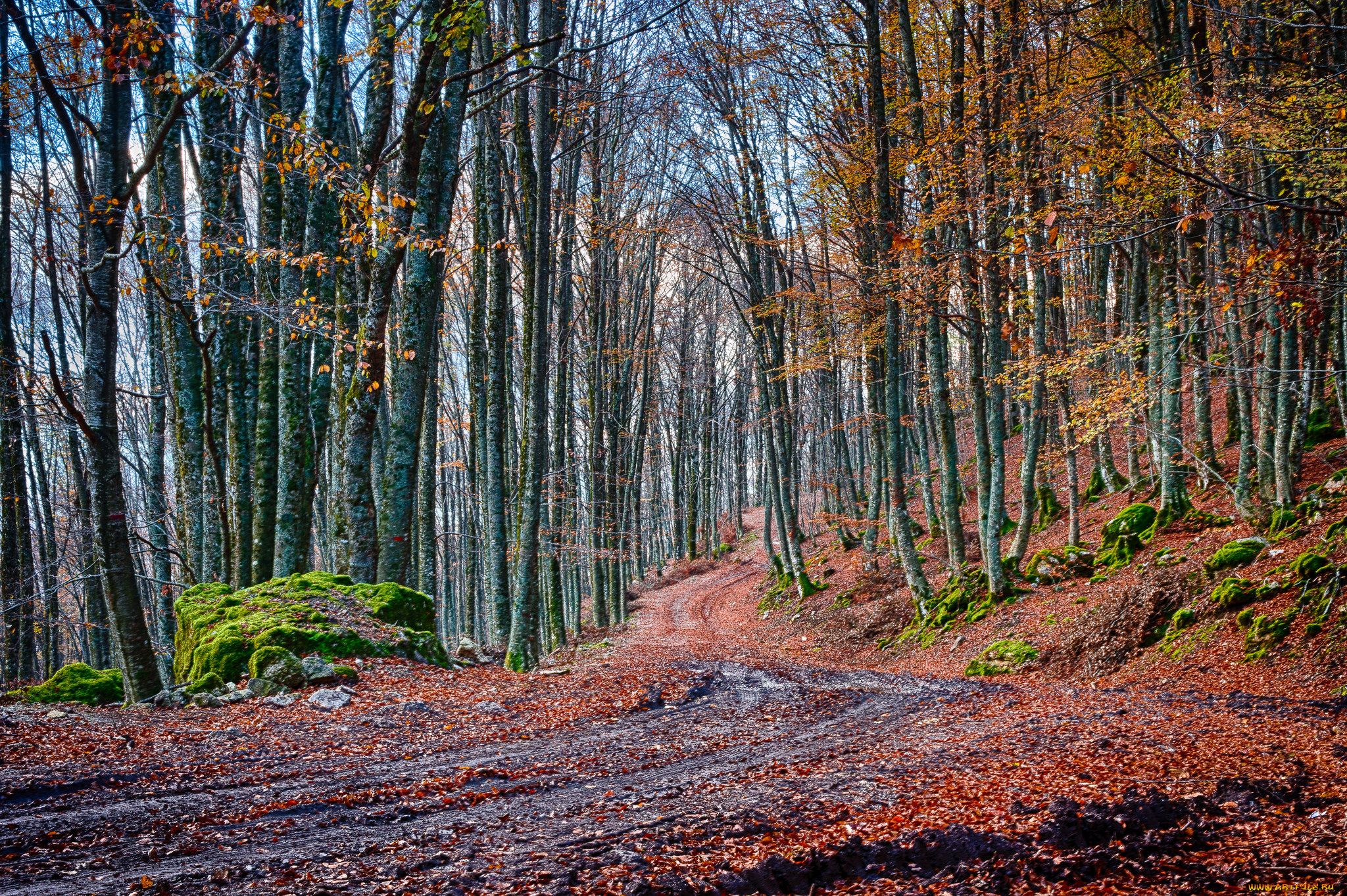 природа, дороги, тракт