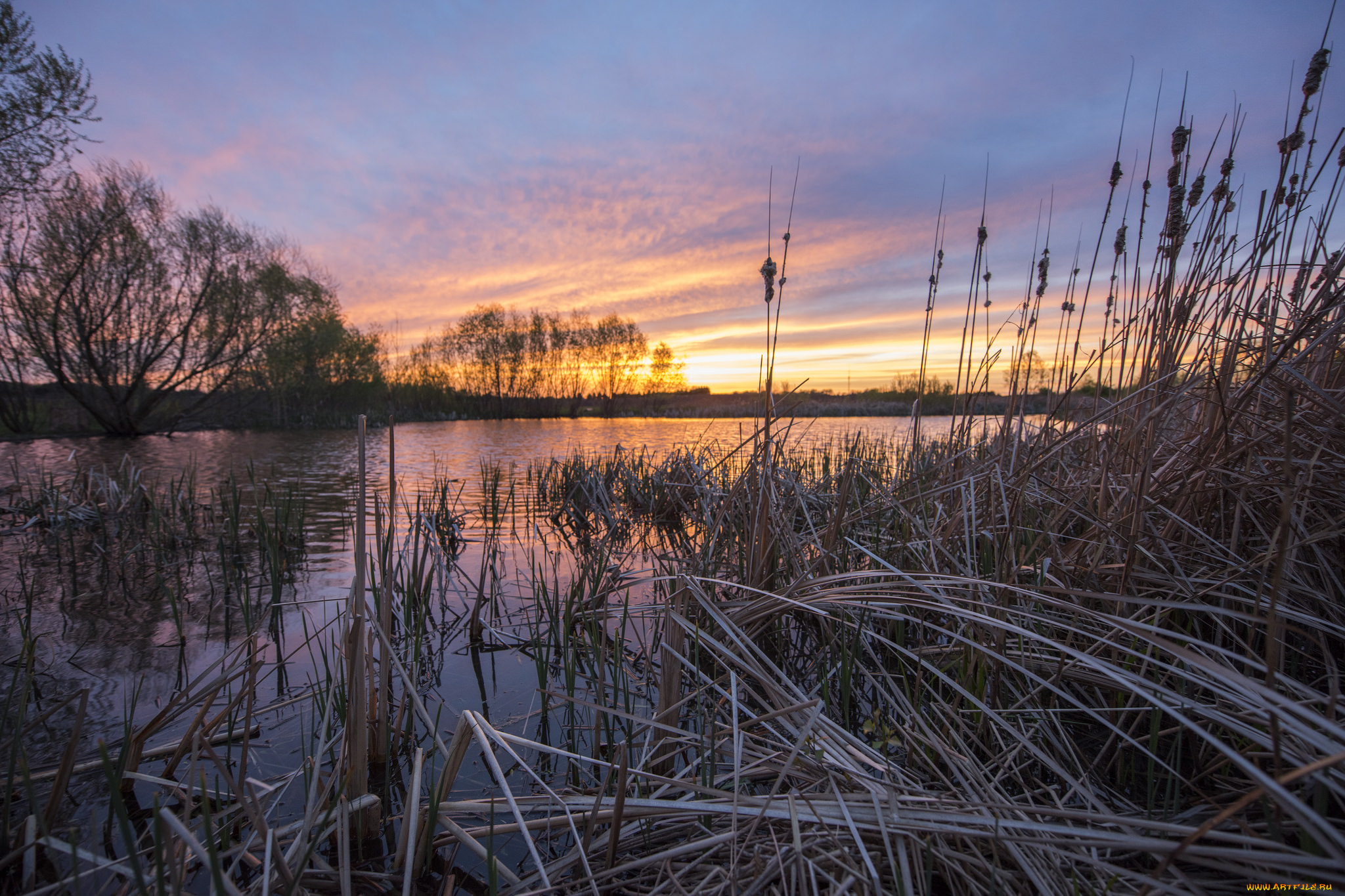 природа, реки, озера, река, лес