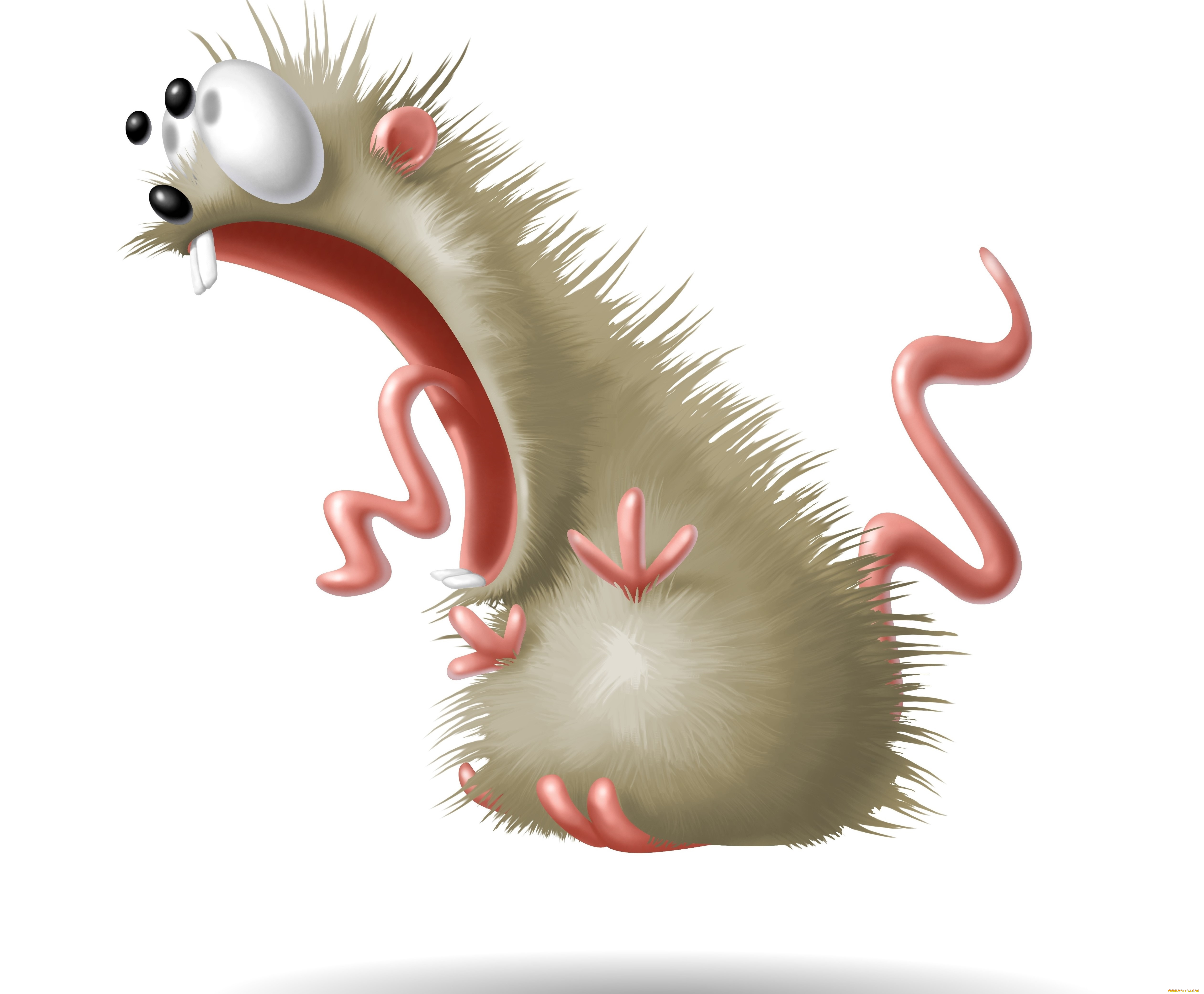 рисованное, минимализм, крыса