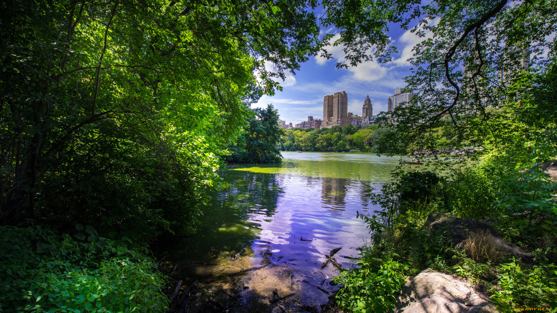 central, park, -, new, york, city, города, нью-йорк, , сша, простор