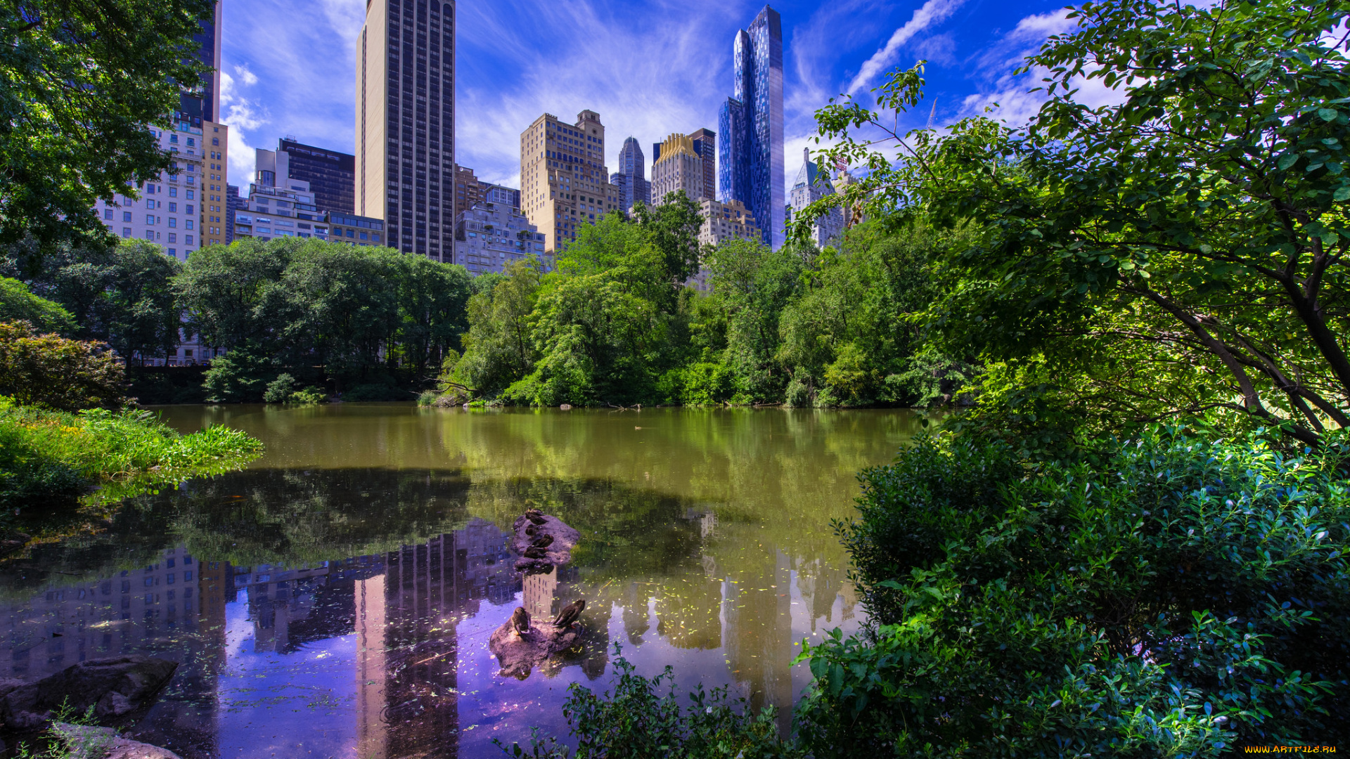 central, park, -, new, york, city, города, нью-йорк, , сша, простор