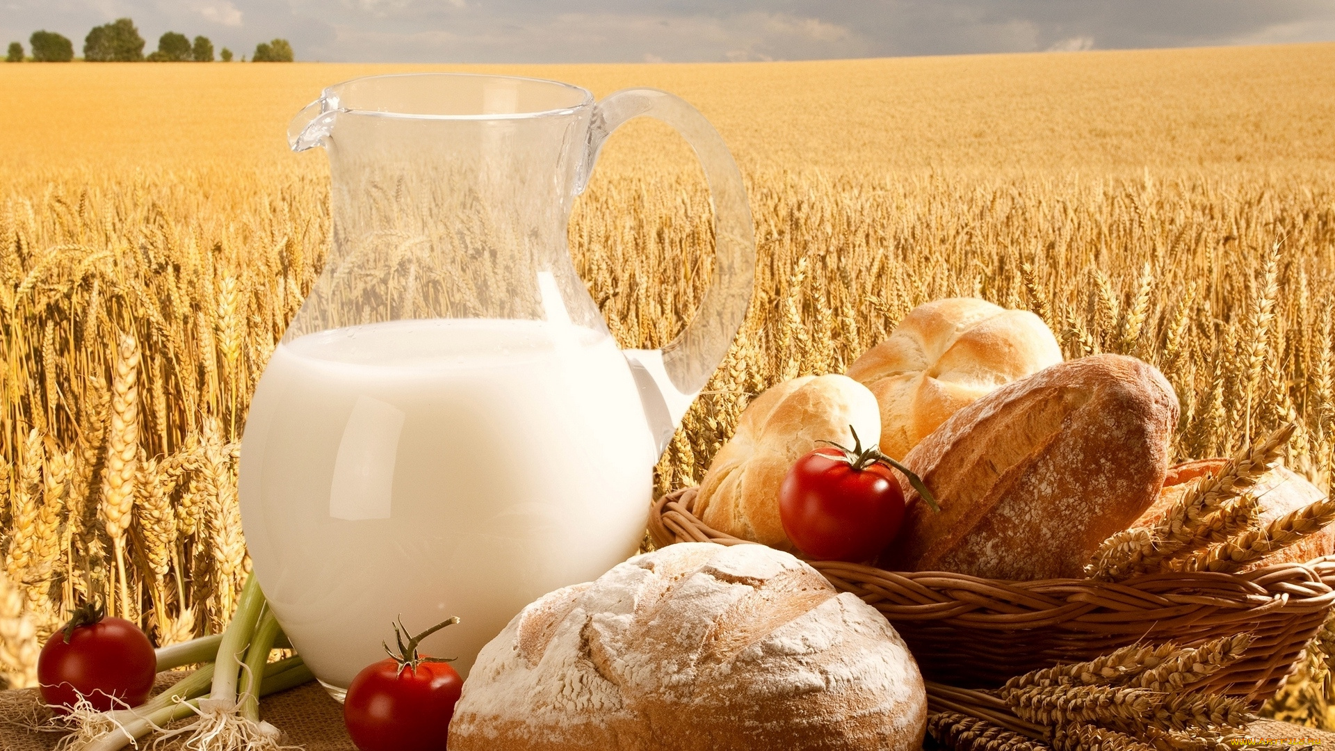 еда, натюрморт, хлеб, молоко, томаты, помидоры, колоски