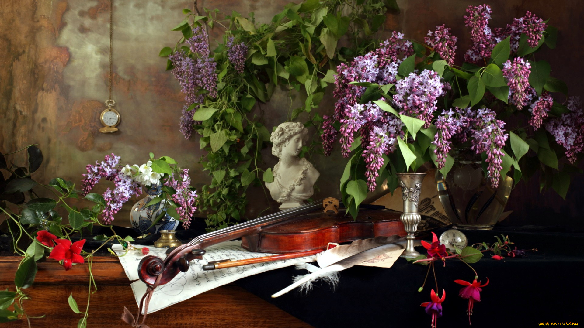 музыка, -музыкальные, инструменты, скрипка