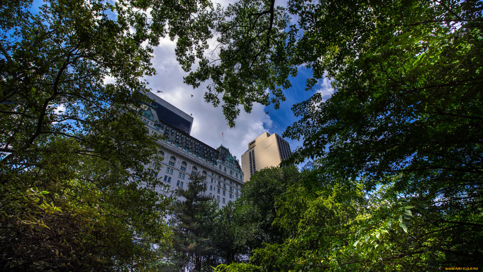 new, york, city, -, usa, города, нью-йорк, , сша, простор