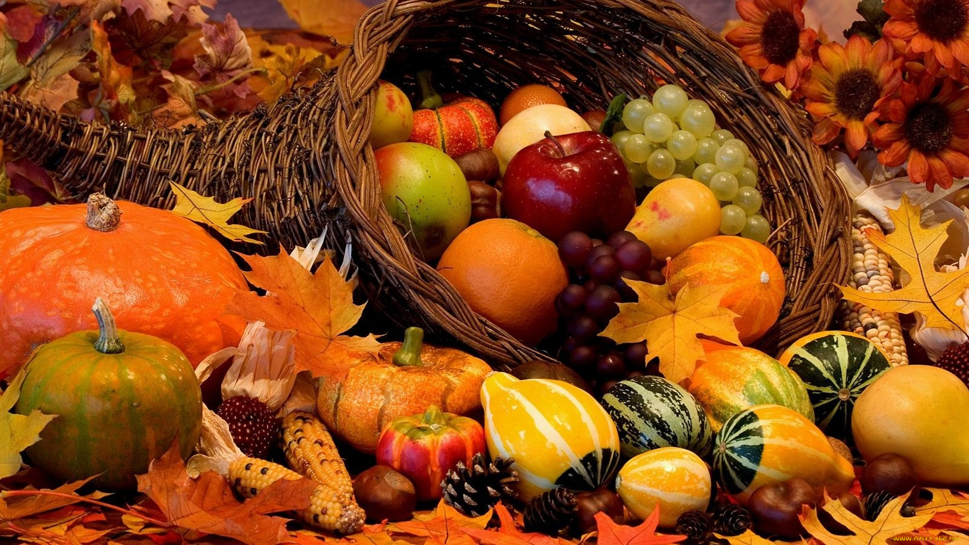 овощи, и, фрукты, еда, фрукты, и, овощи, вместе, фрукты, овощи