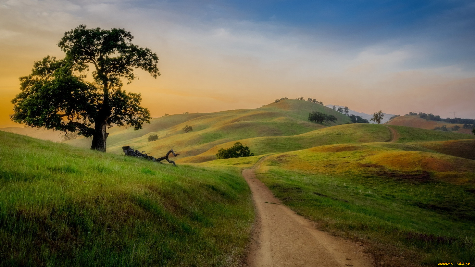 природа, дороги, дорога, лето