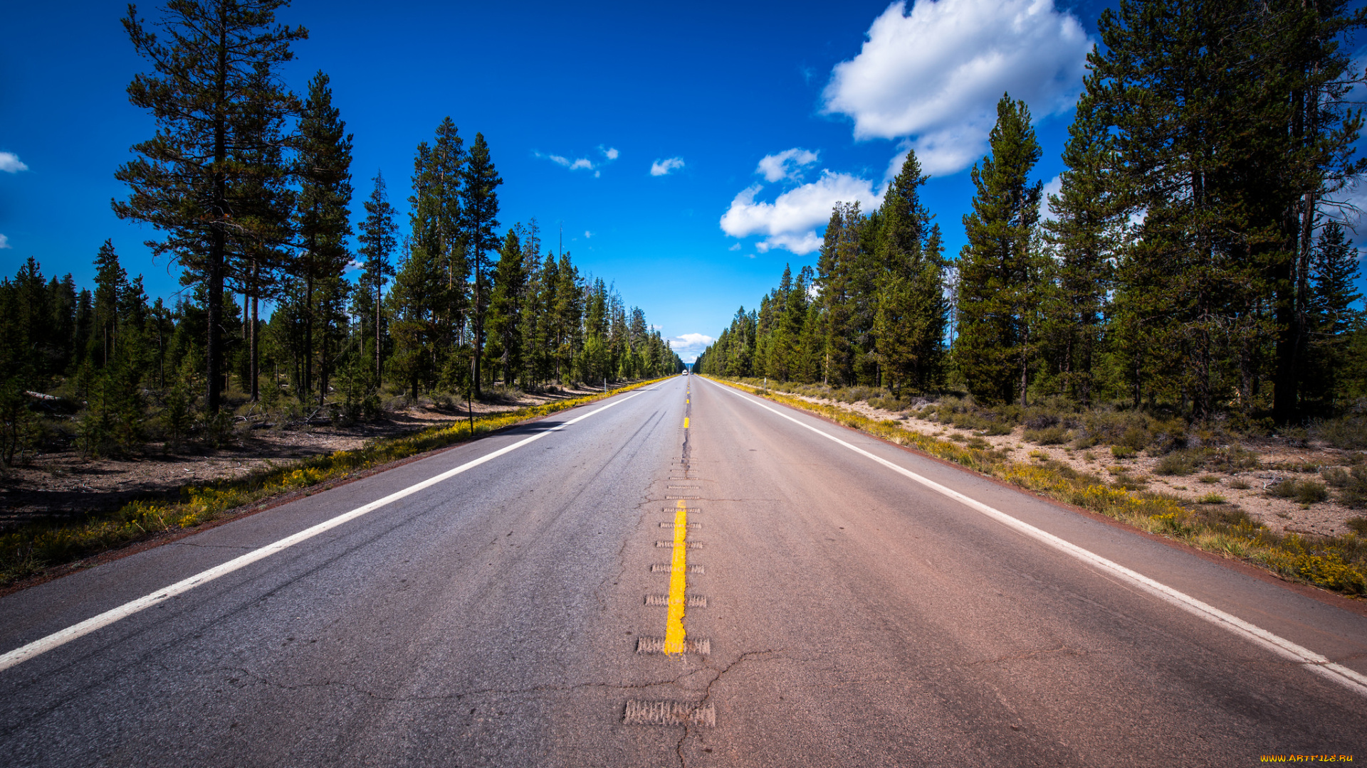 природа, дороги, простор