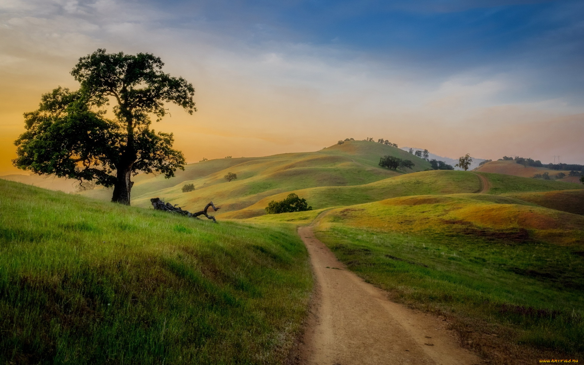 природа, дороги, дорога, лето