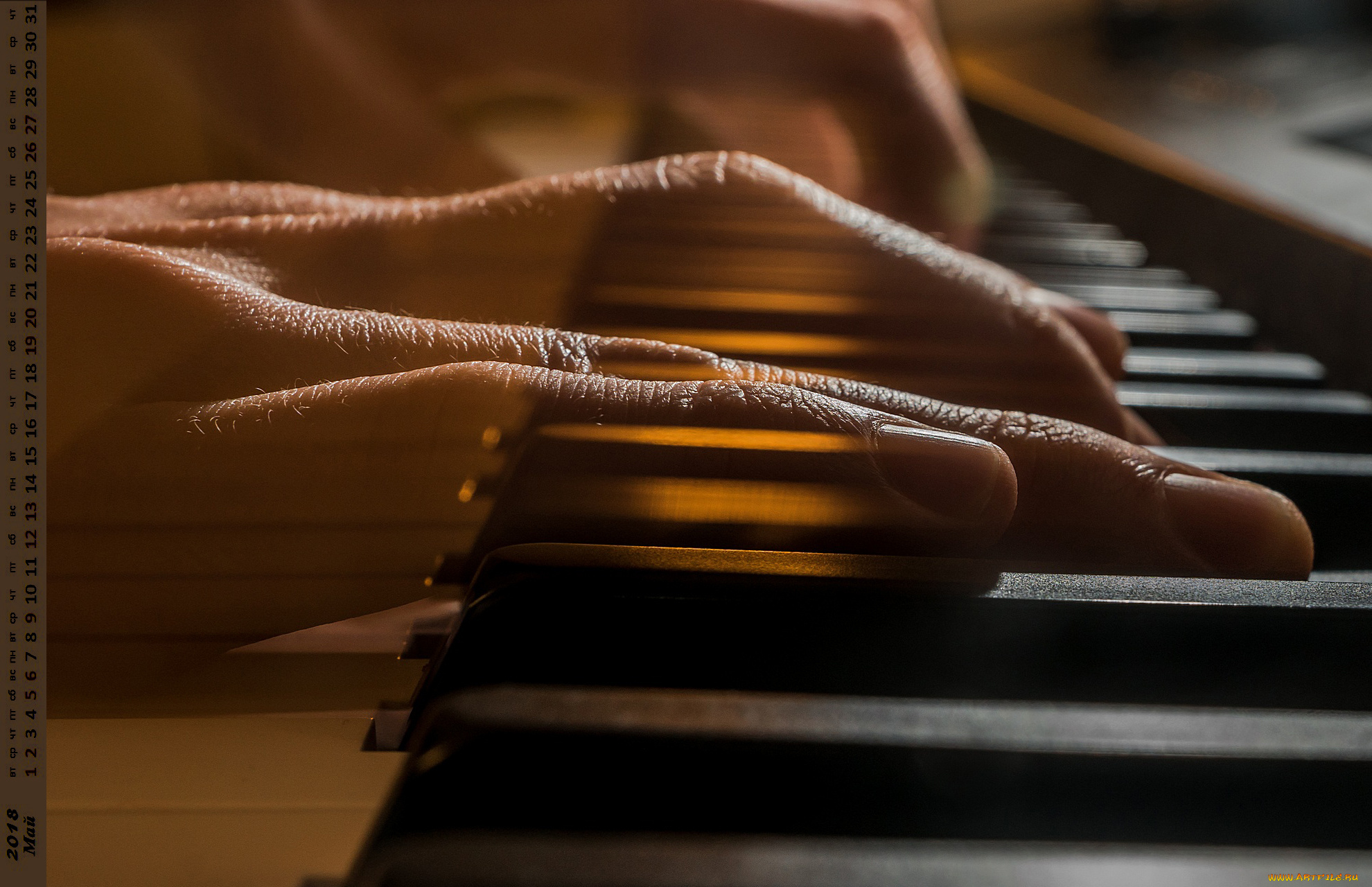 календари, компьютерный, дизайн, клавиши, пальцы