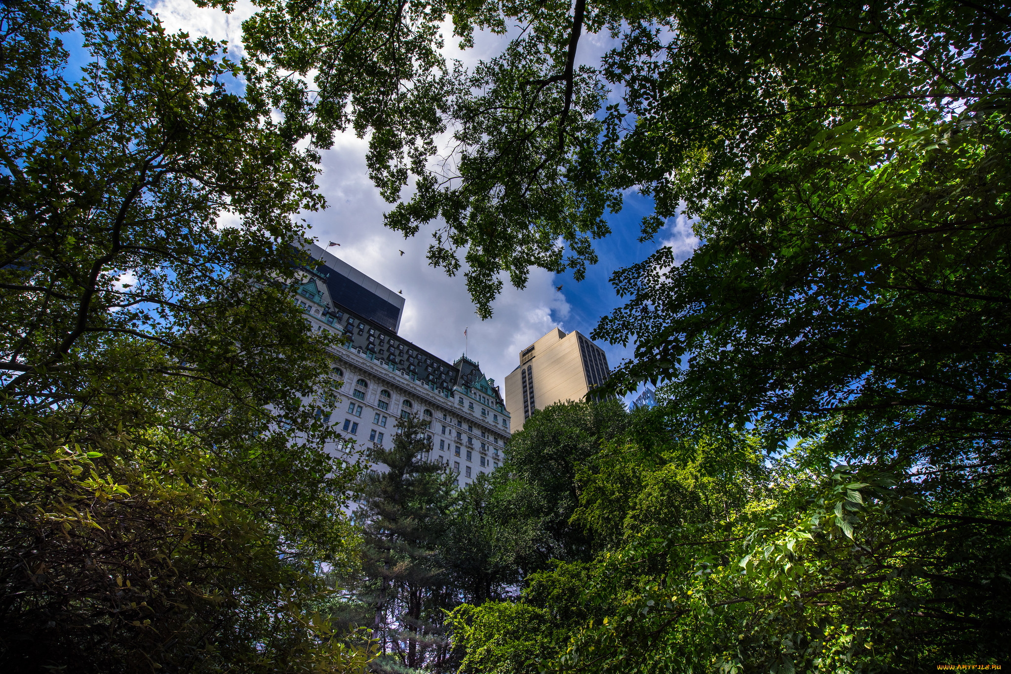 new, york, city, -, usa, города, нью-йорк, , сша, простор