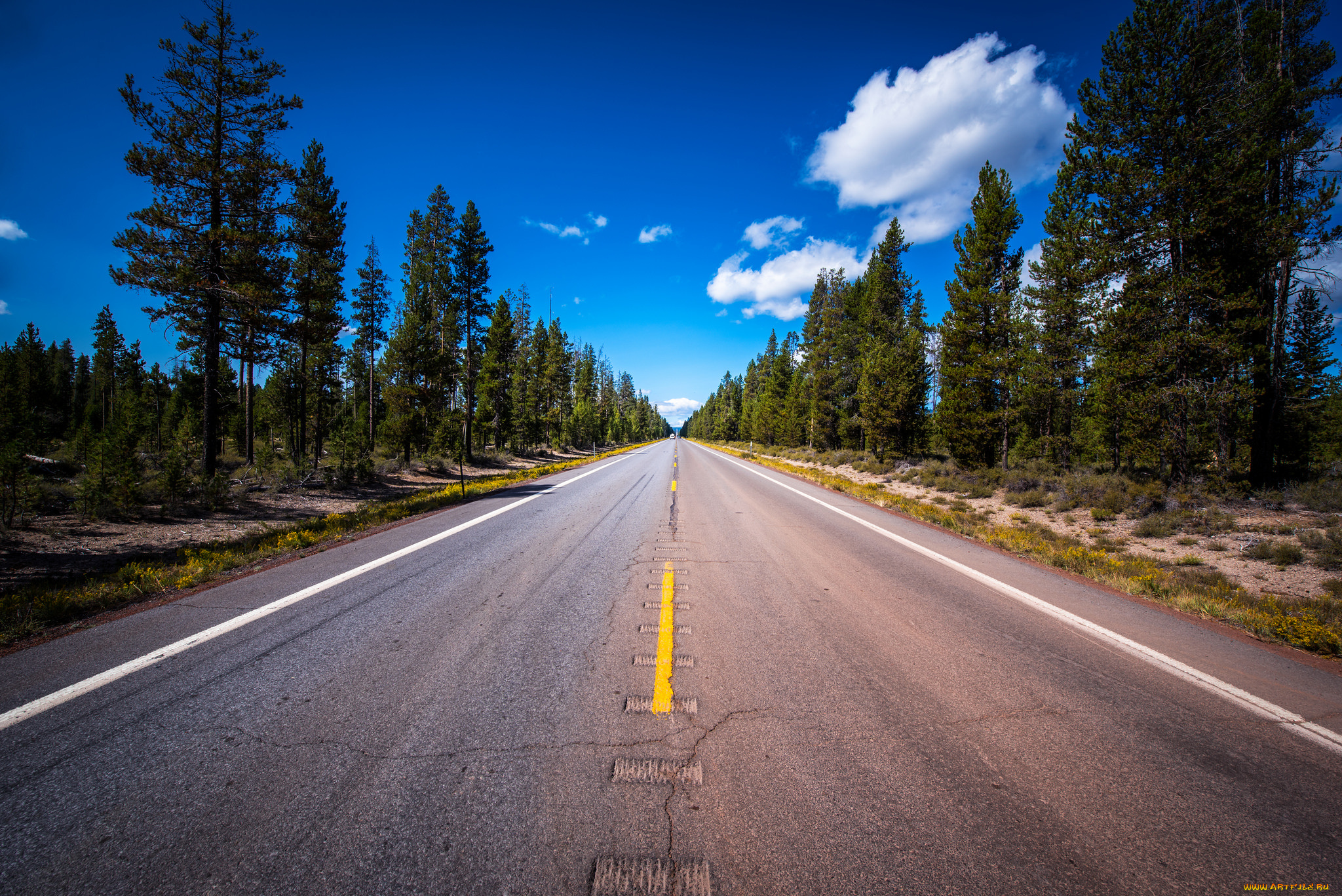 природа, дороги, простор