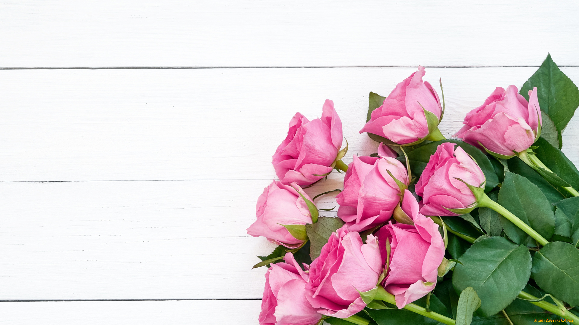 цветы, розы, букет, розовые, wood, pink, flowers, roses