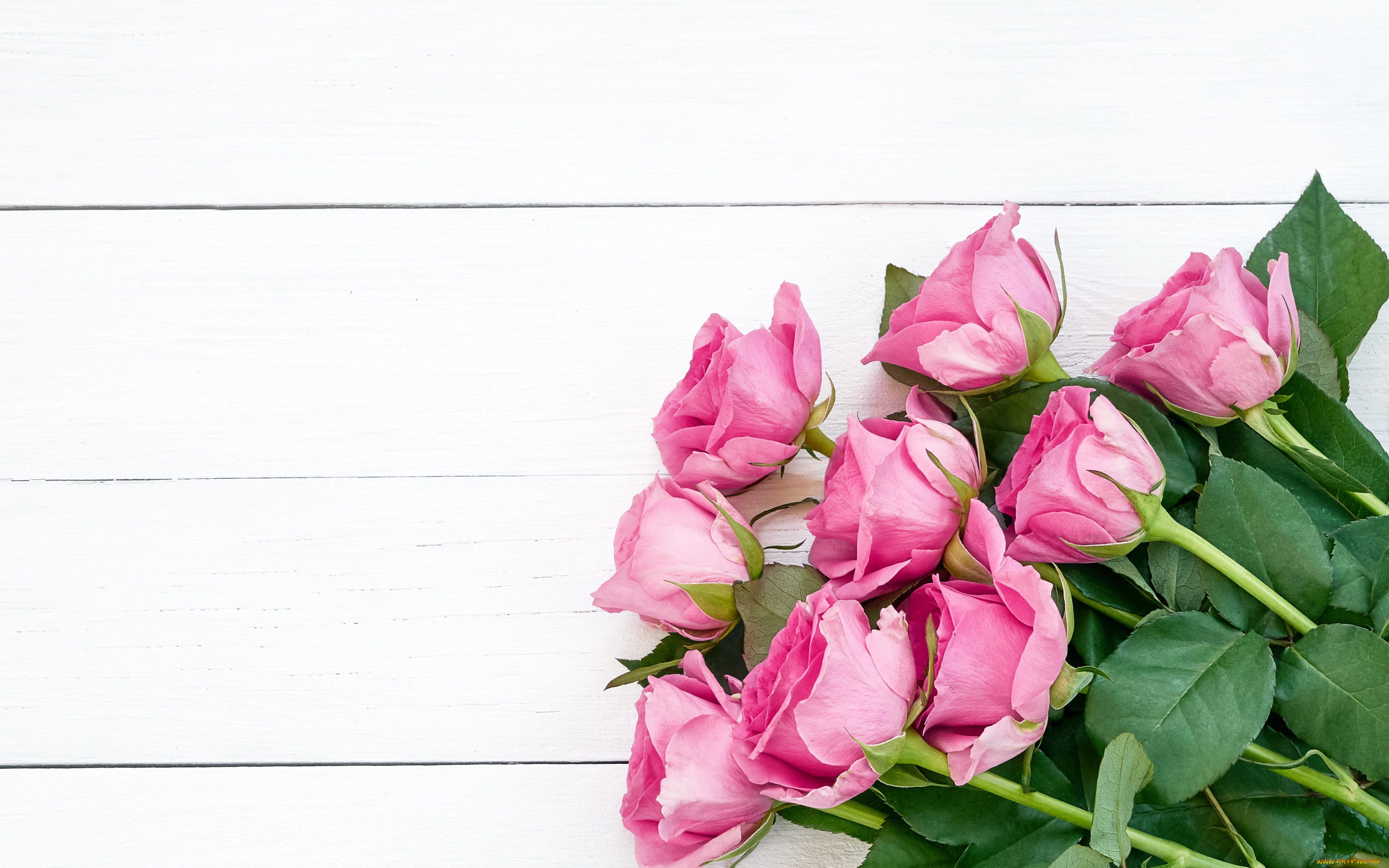 цветы, розы, букет, розовые, wood, pink, flowers, roses