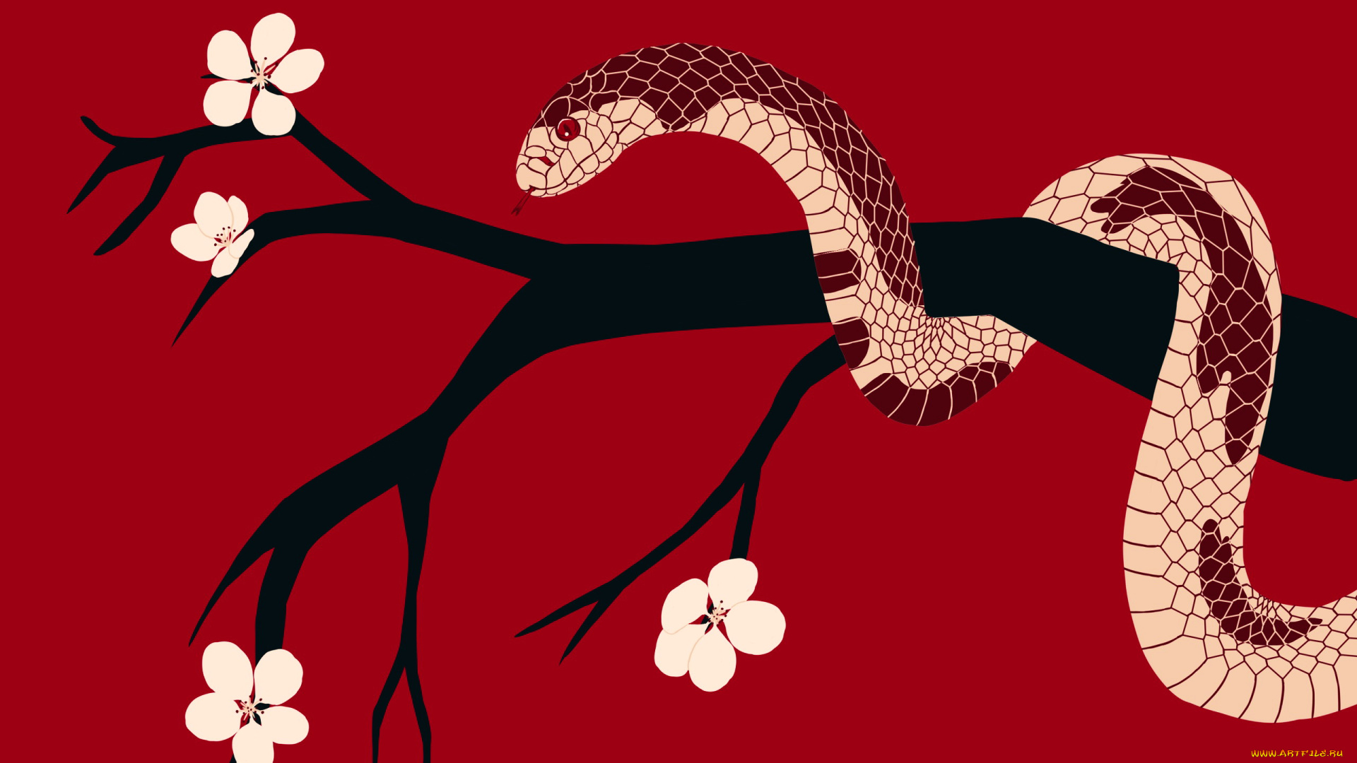 векторная, графика, животные, , animals, ветка, цветы, змея