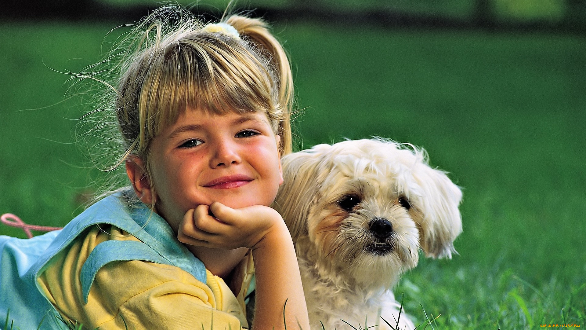 разное, люди, девочка, собака, лужайка