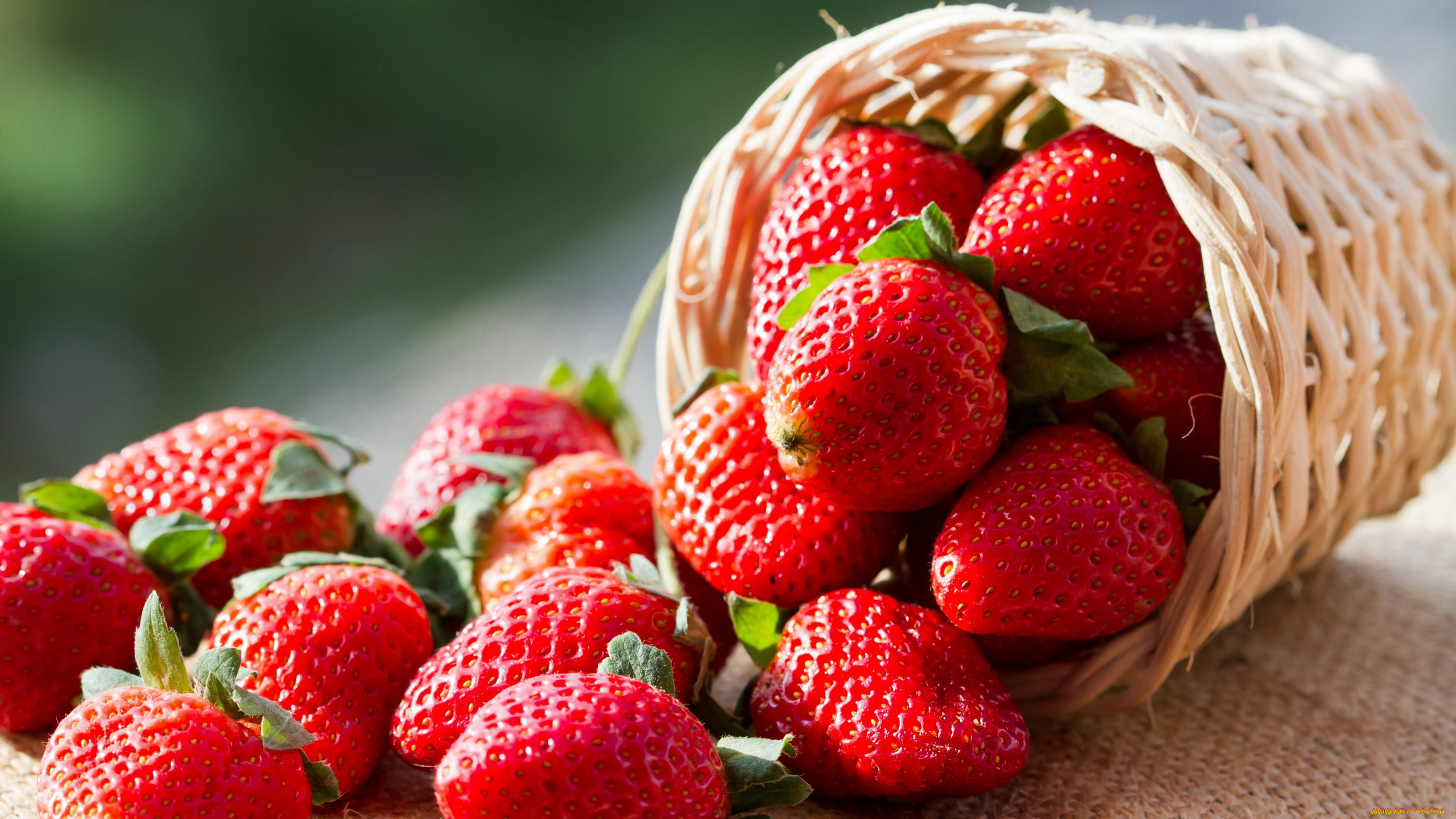 еда, клубника, , земляника, спелая, корзинка