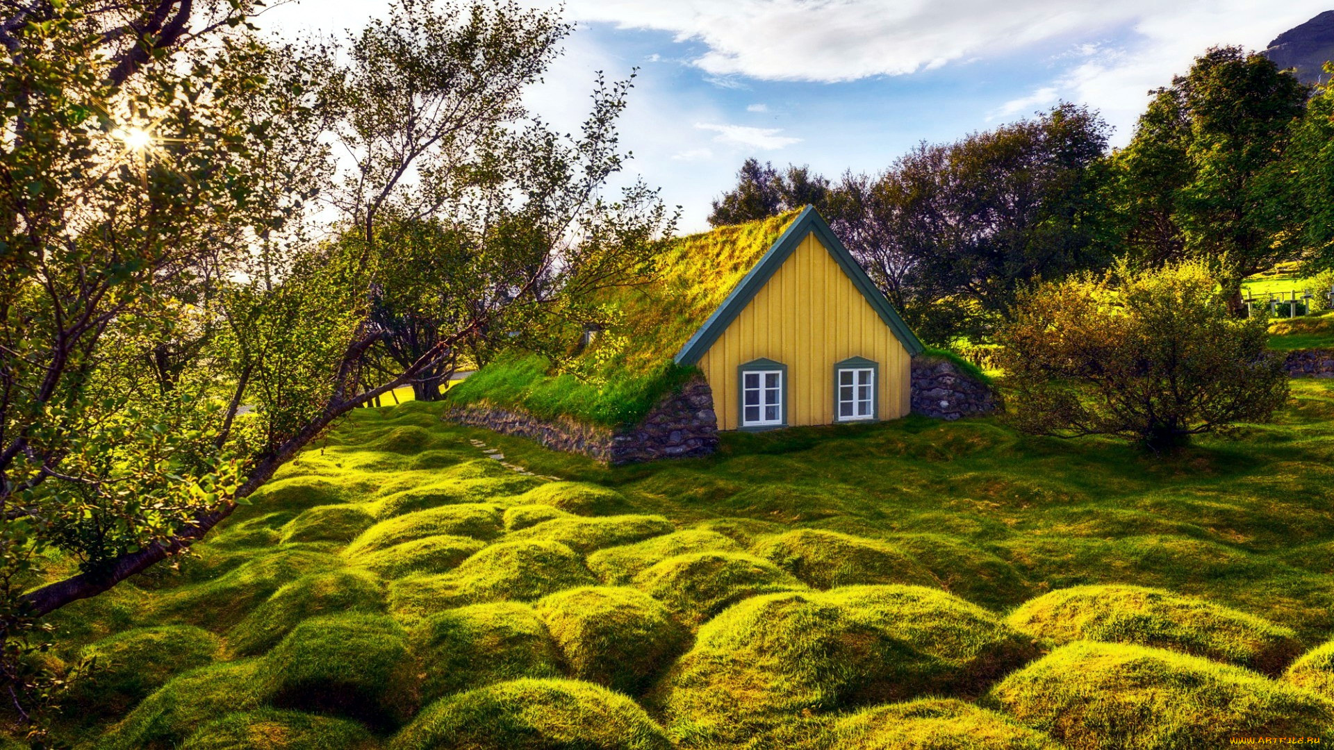 iceland, города, -, здания, , дома