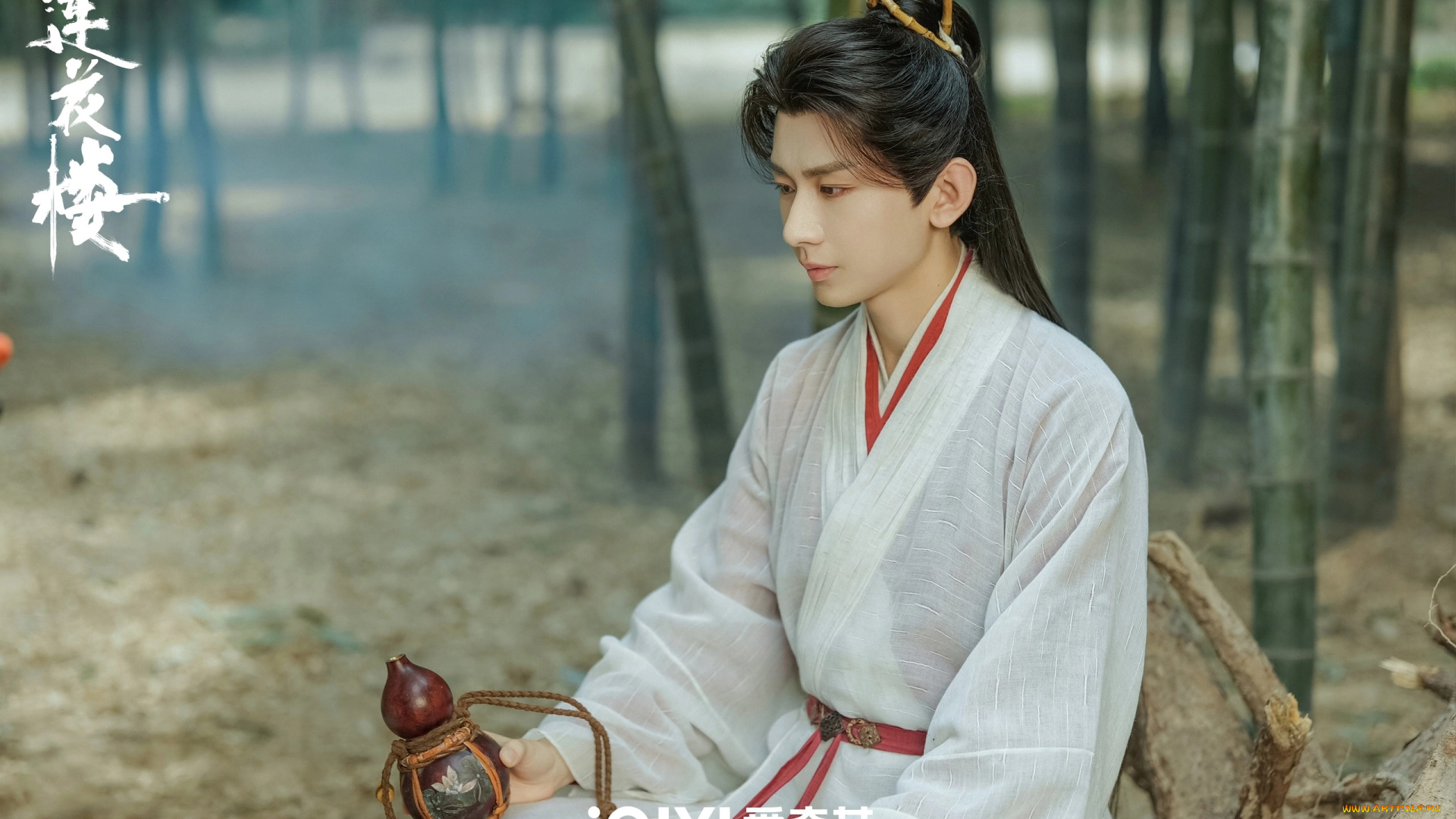 кино, фильмы, mysterious, lotus, casebook, башня, лотоса, с, благоприятными, узорами, лотосовый, терем, дело, mysterious, lotus, casebook, lian, hua, lou