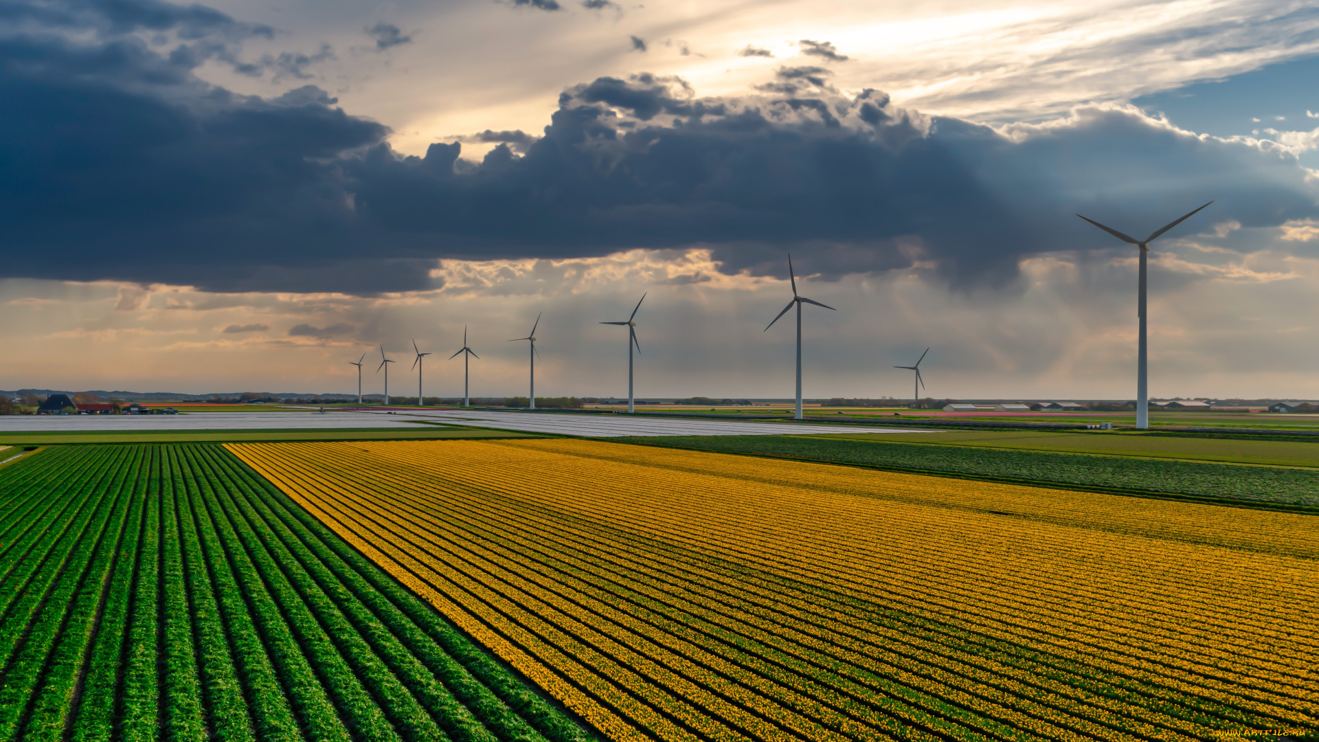 разное, ветрогенераторы, поле