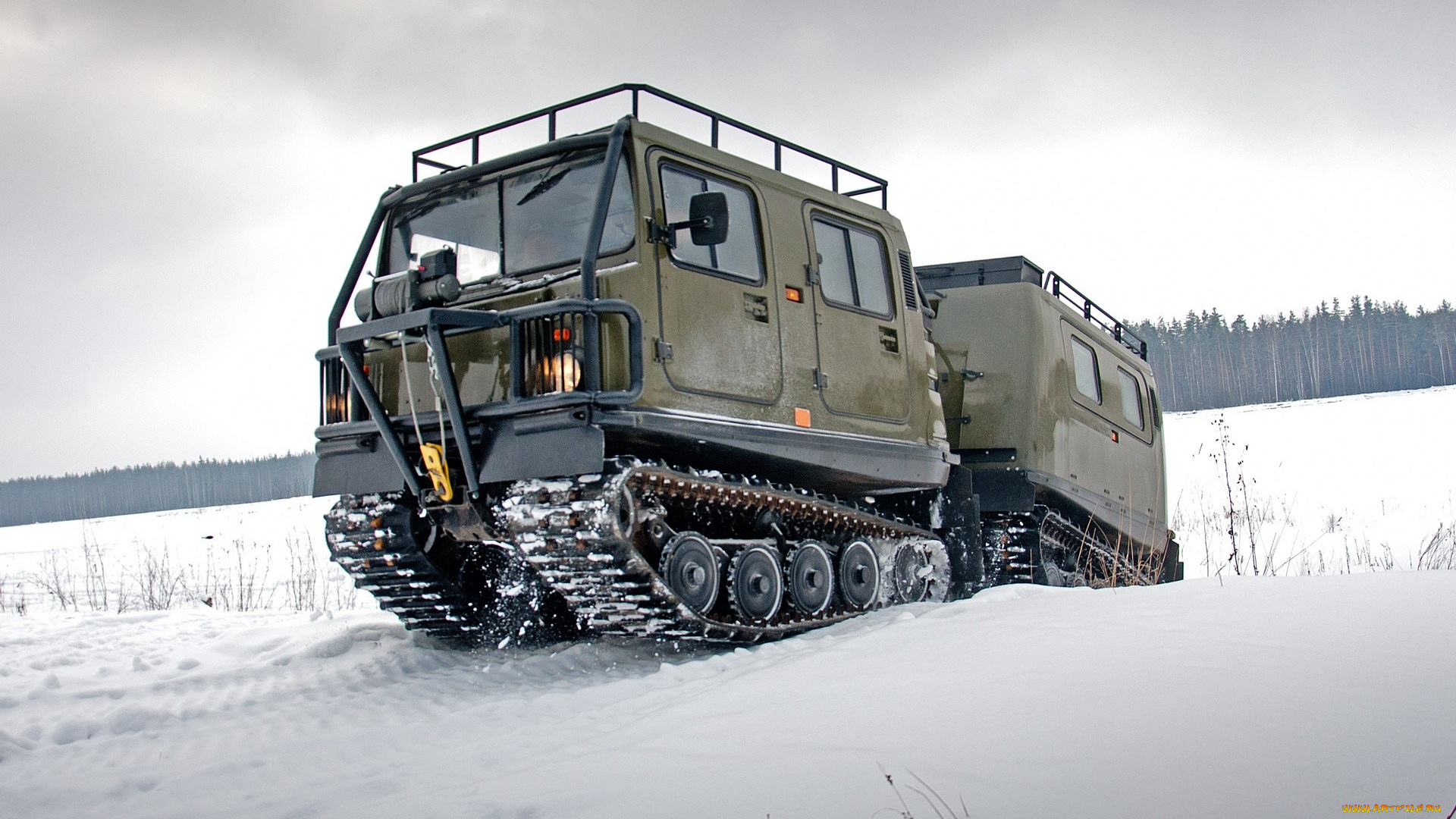техника, вездеходы, снегоболотоход, hagglund, bv206, лось