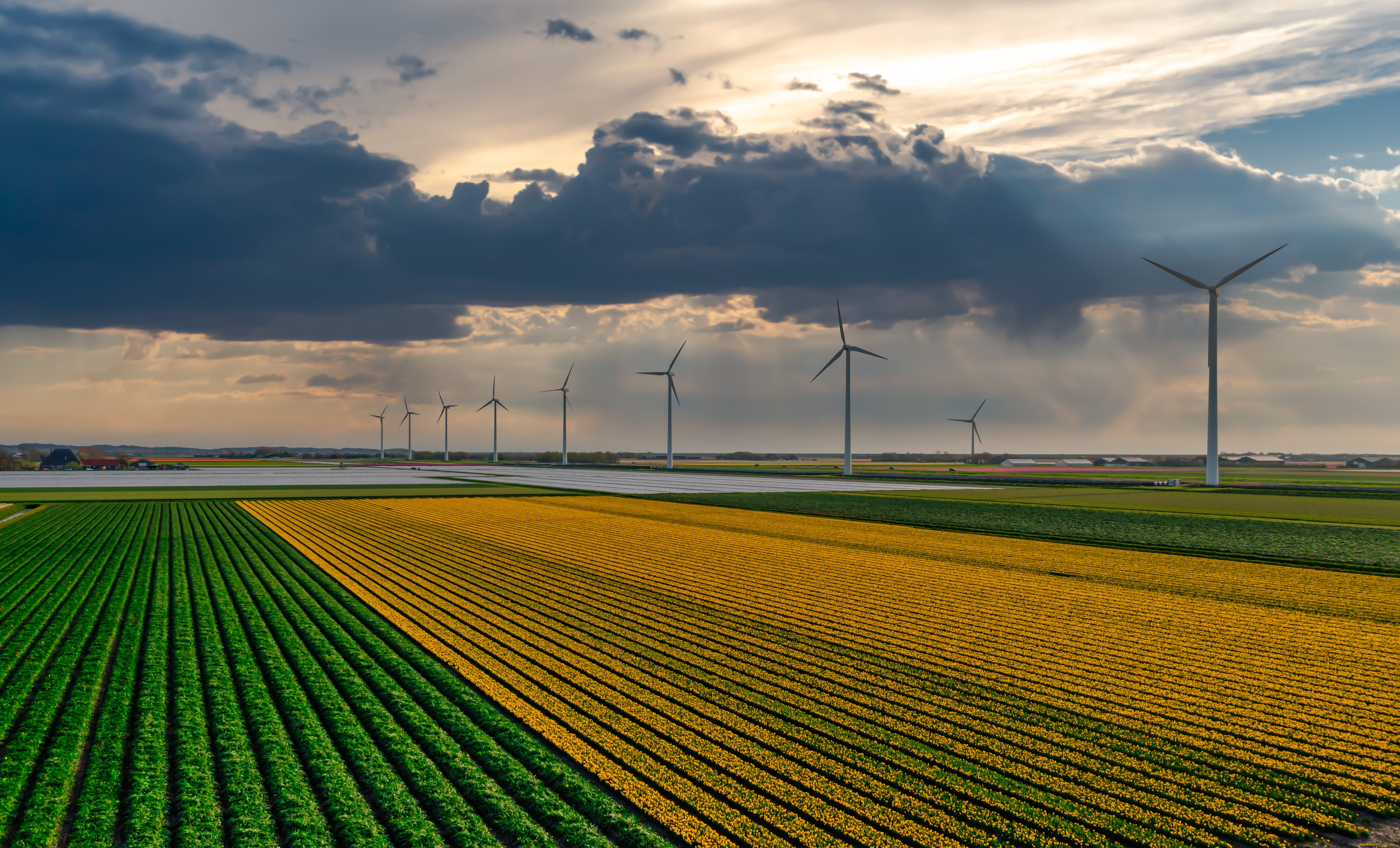разное, ветрогенераторы, поле