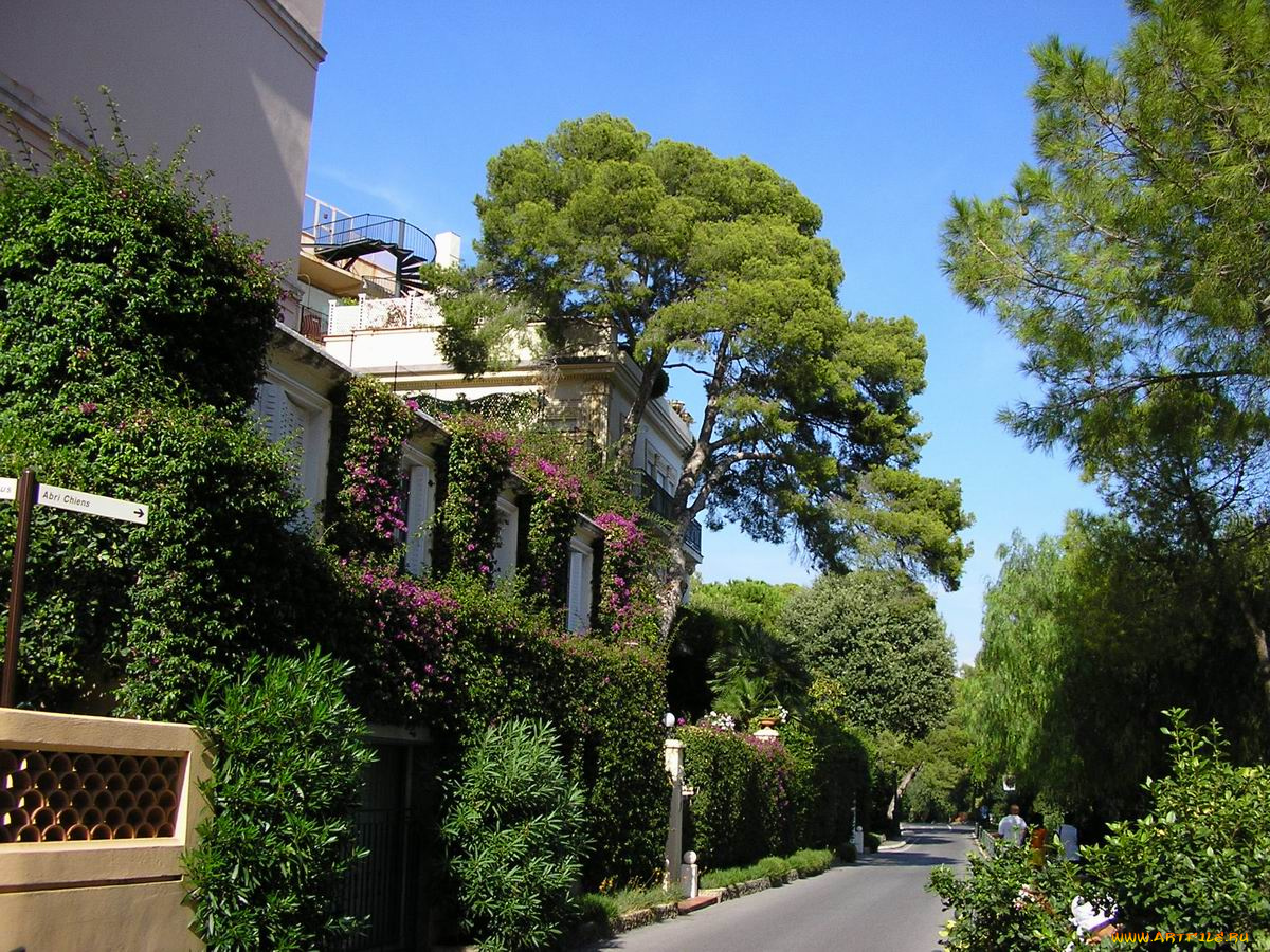 монако, днем, города, монте, карло