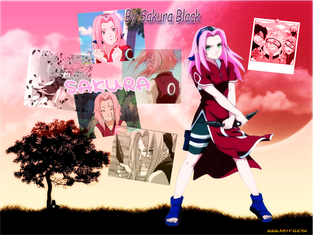 sakura, аниме, naruto