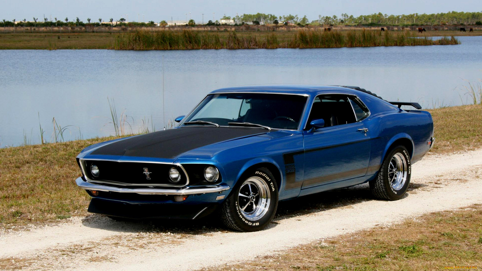 1969, mustang, boss, 302, автомобили, ford