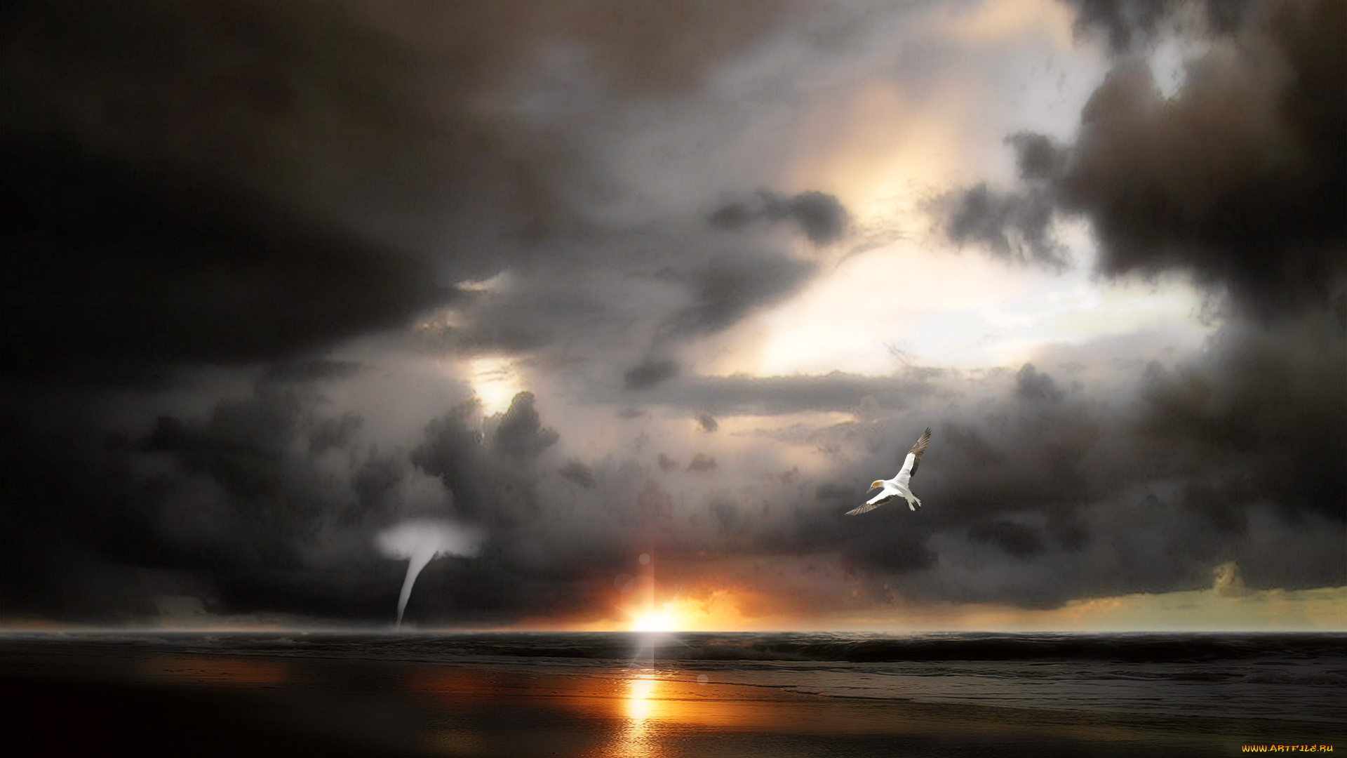 3д, графика, sea, undersea, море