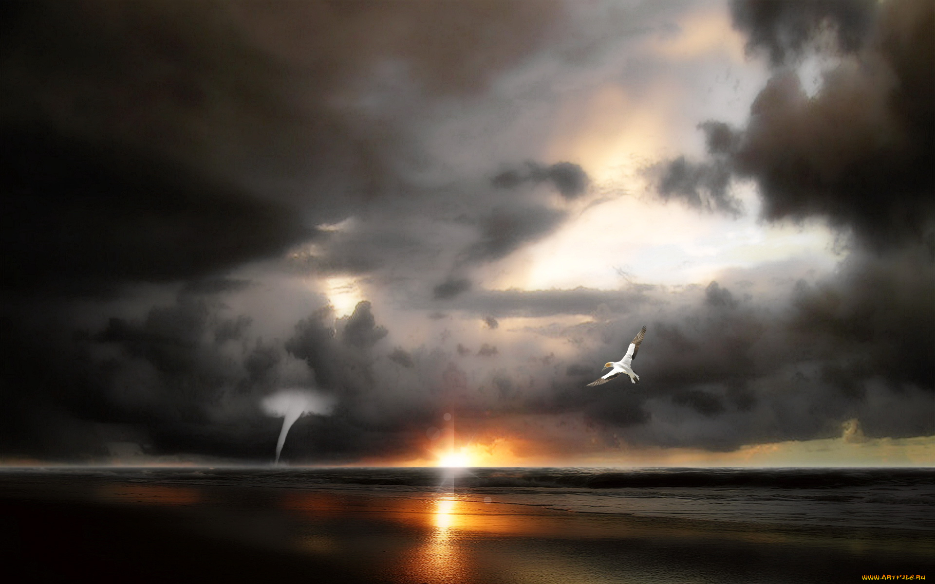 3д, графика, sea, undersea, море