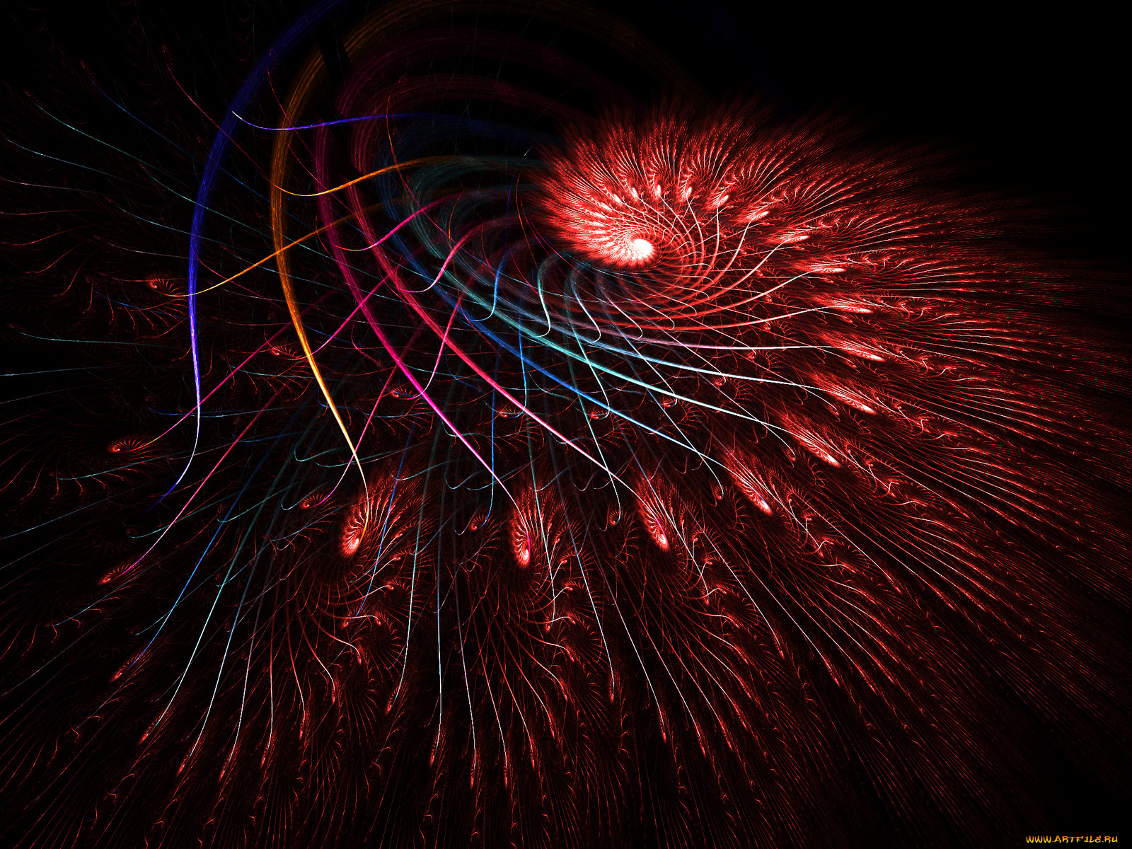 3д, графика, fractal, фракталы, фон, цвета, узор