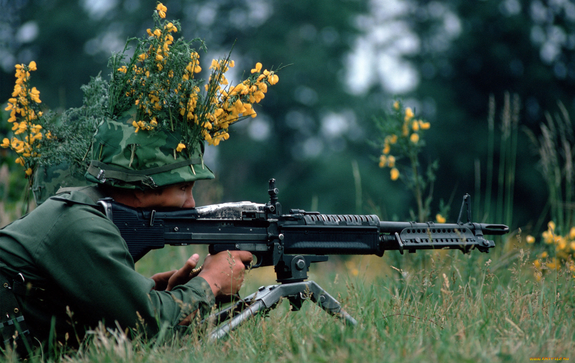 оружие, армия, спецназ, military, army
