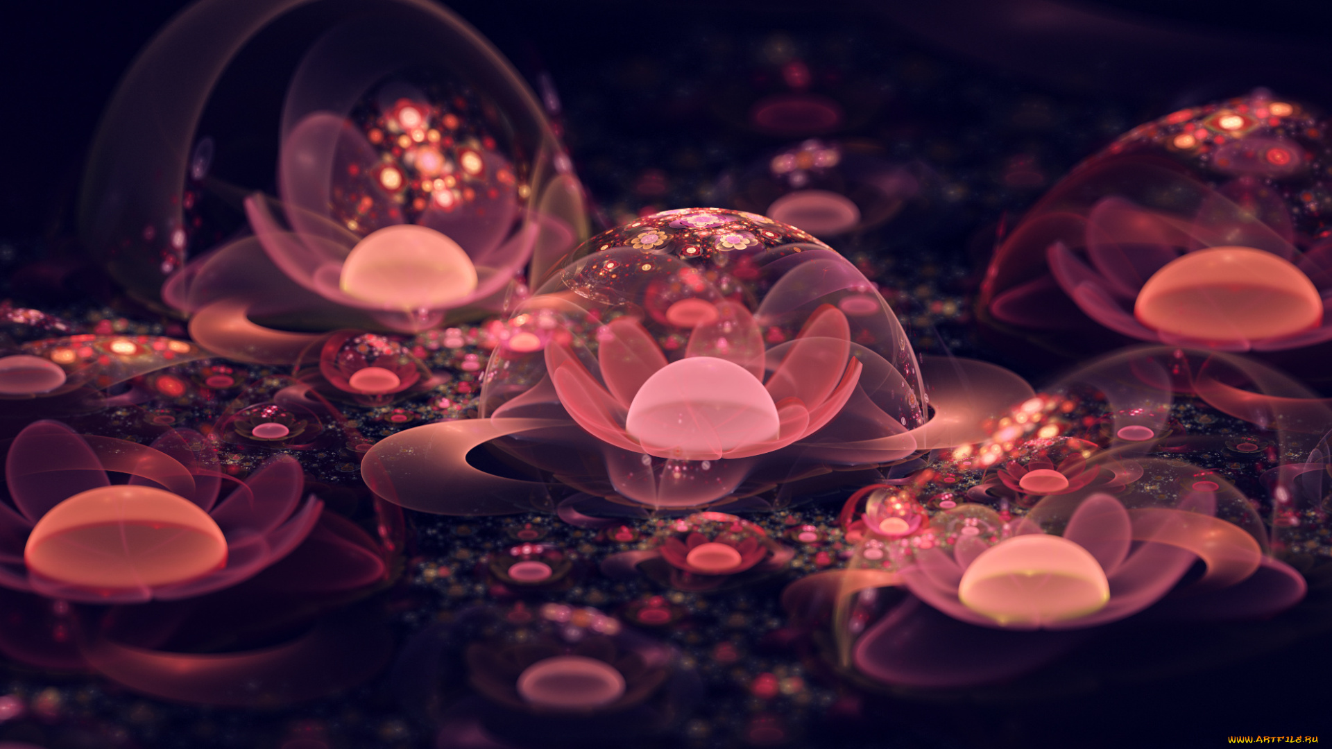 3д, графика, flowers, цветы, фон