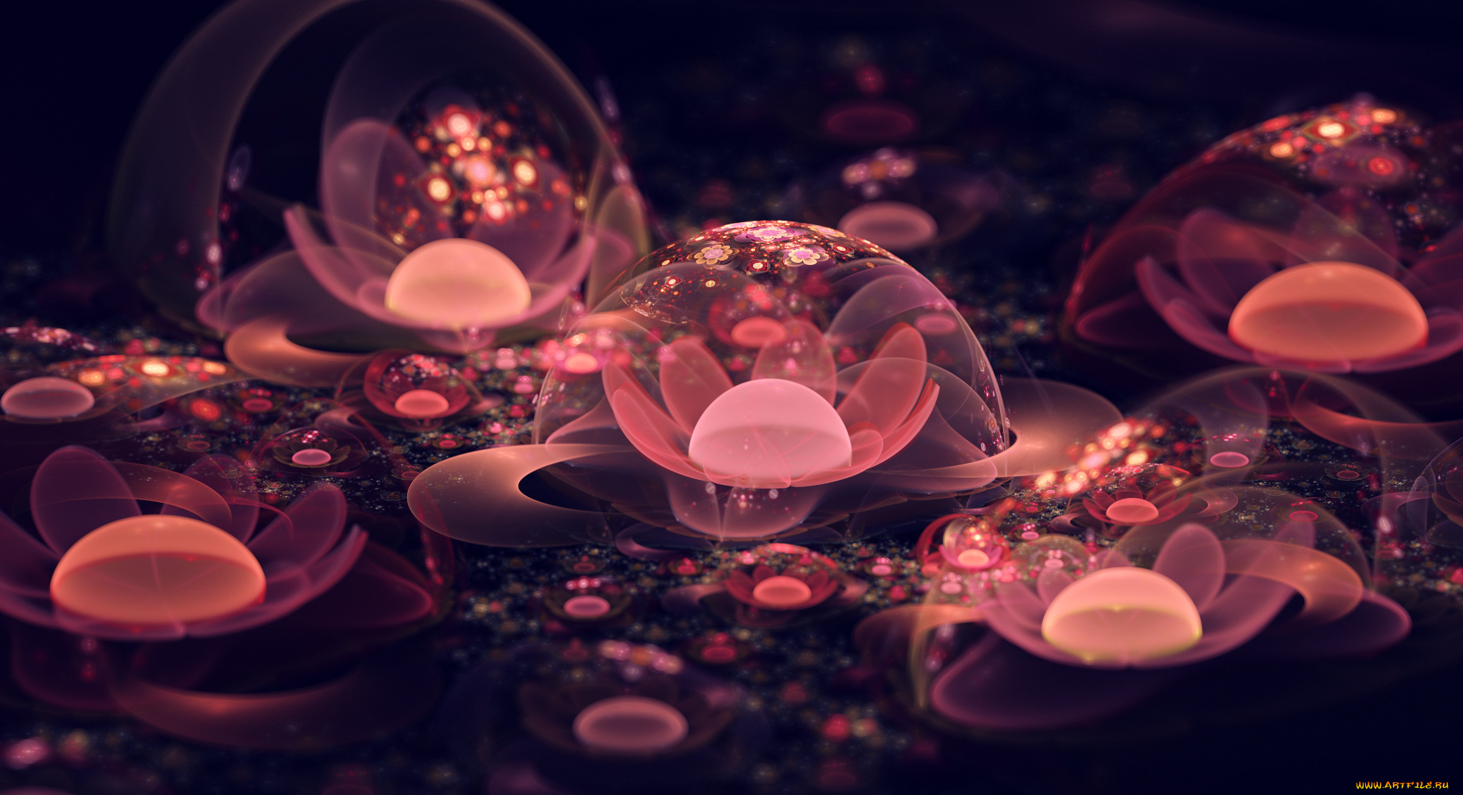 3д, графика, flowers, цветы, фон