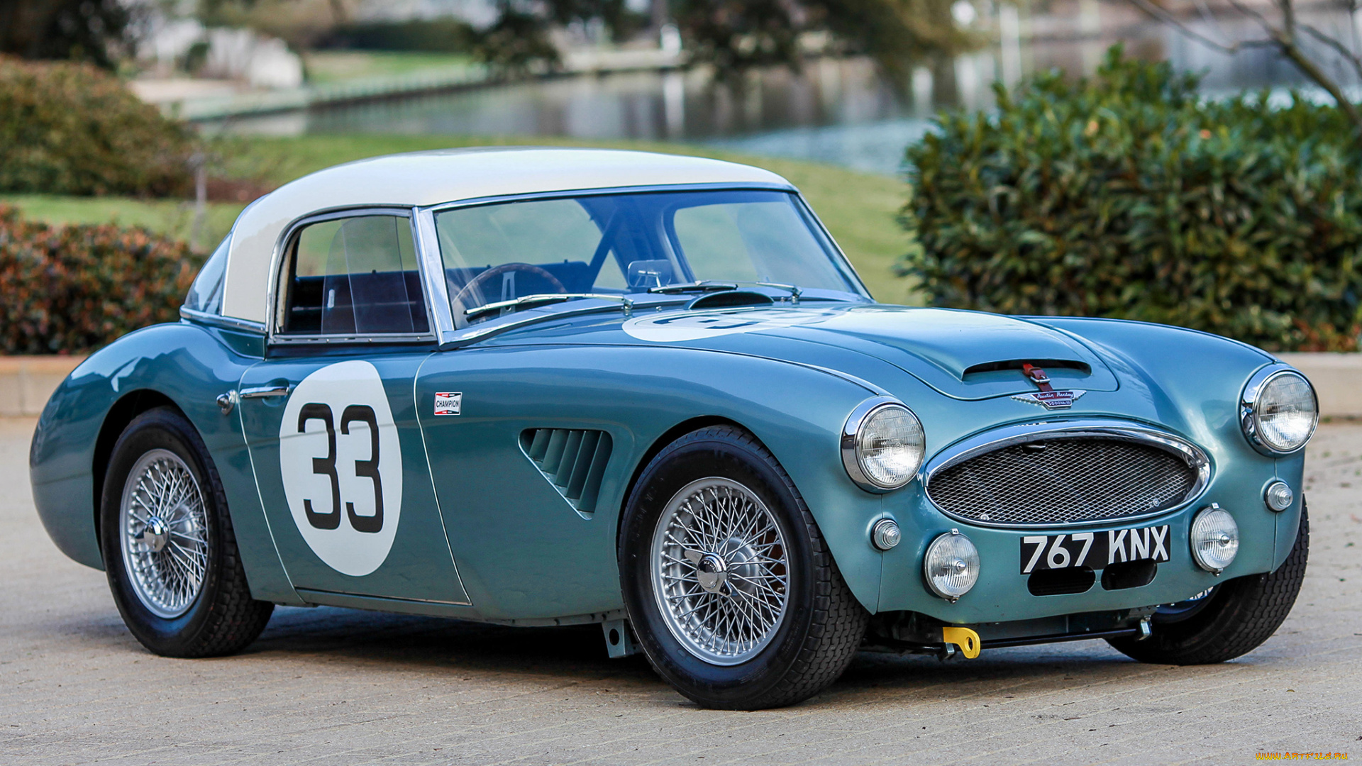 автомобили, austin, healy