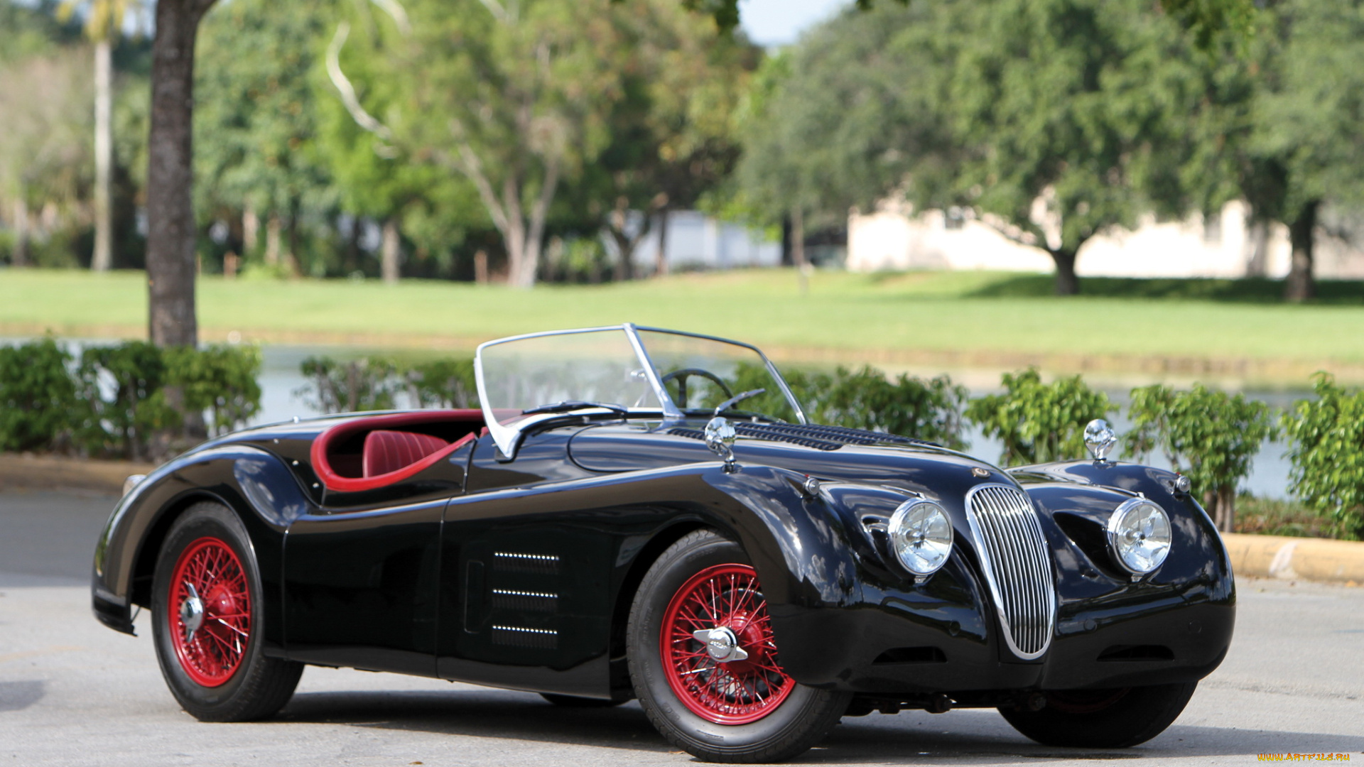 автомобили, jaguar