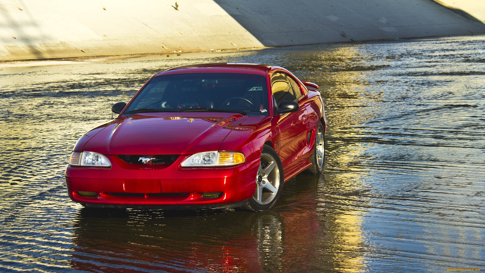 автомобили, mustang