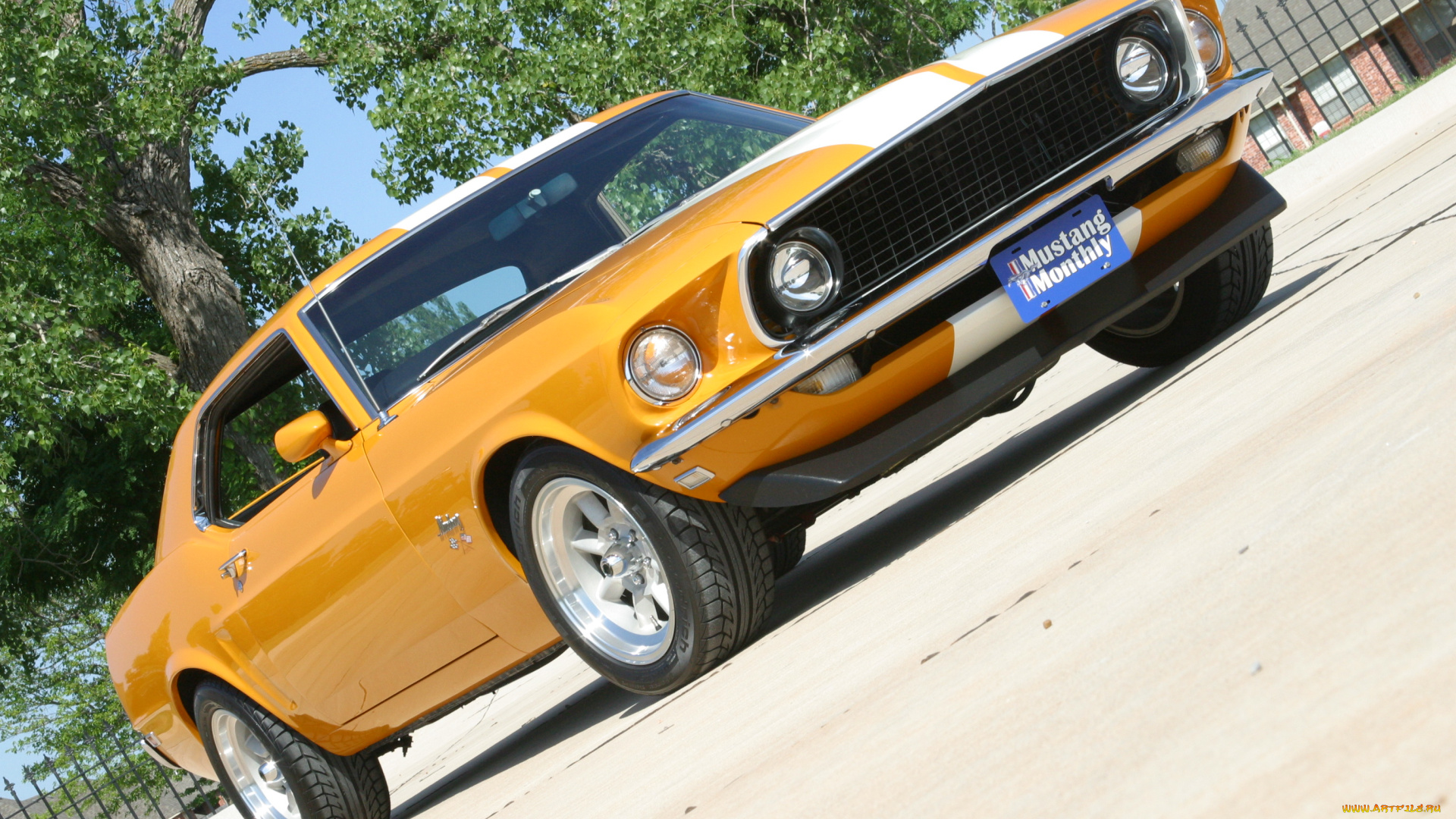 автомобили, mustang, excel