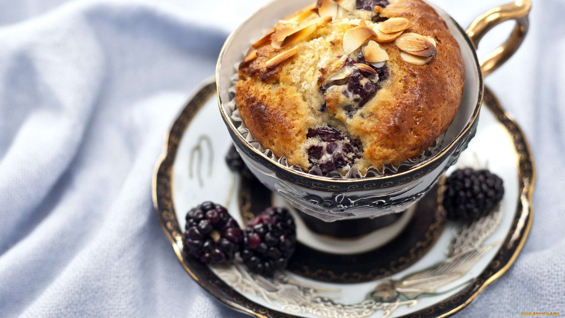 еда, пирожные, кексы, печенье, чашка, кекс, ежевика