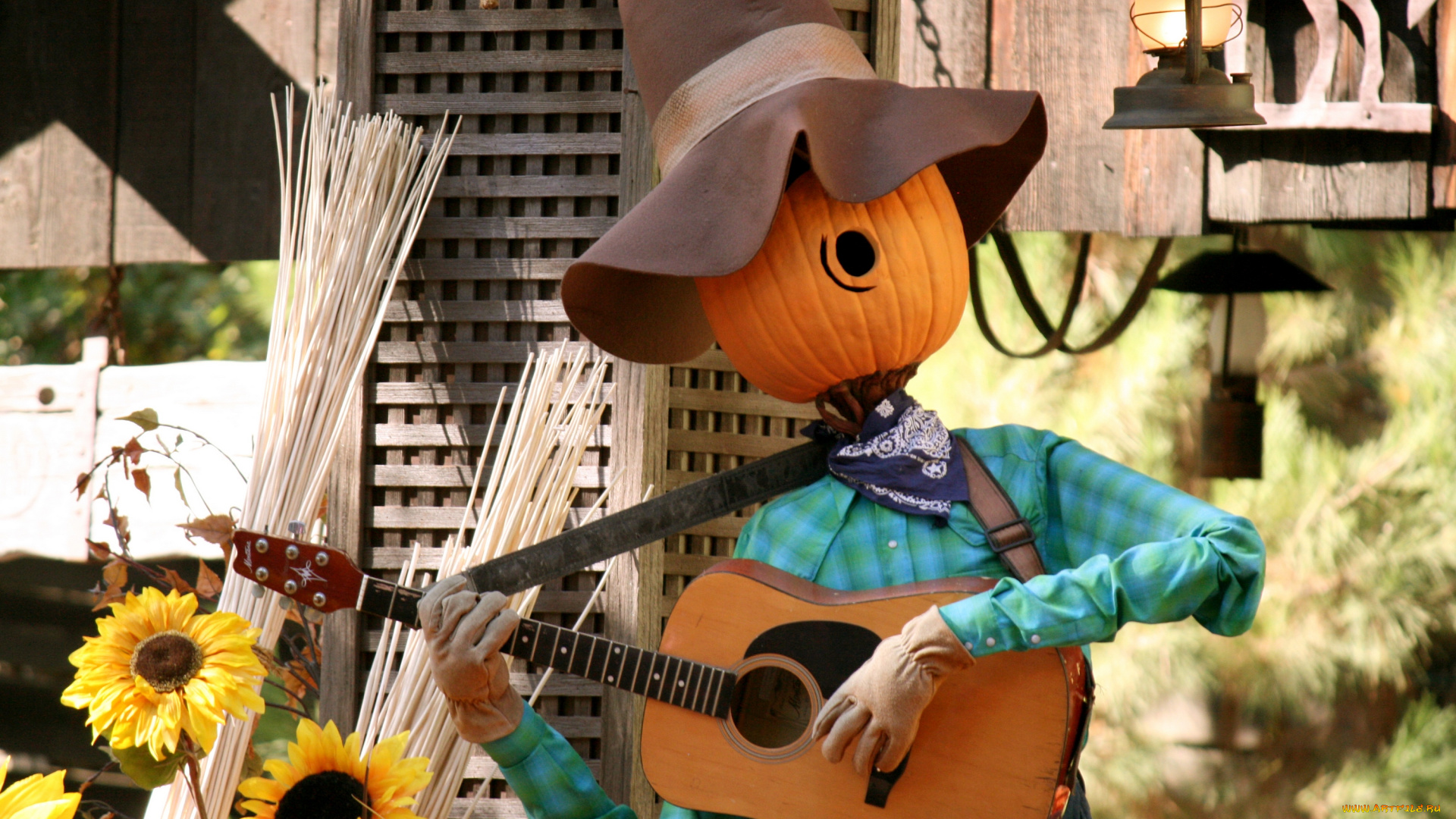 праздничные, хэллоуин, гитарист