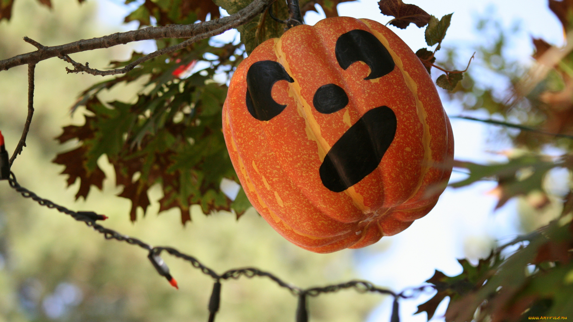 праздничные, хэллоуин, тыква