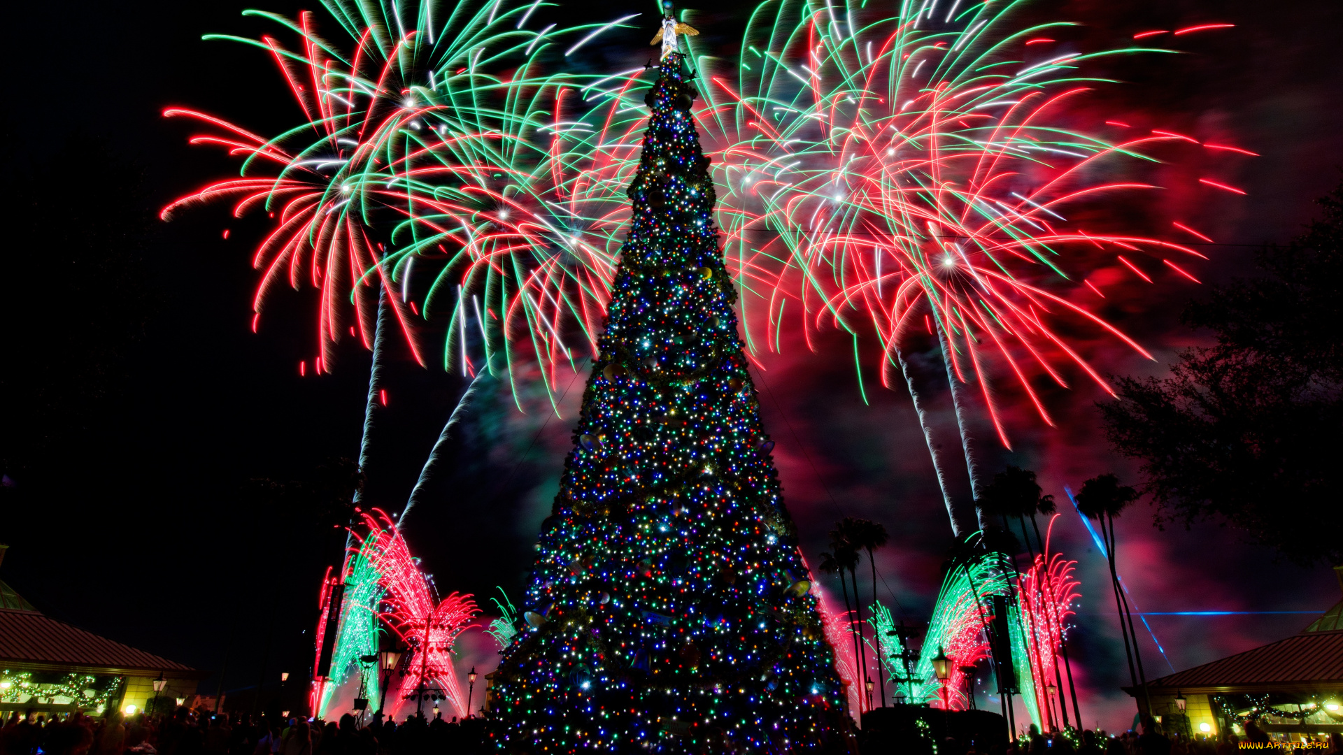 праздничные, Ёлки, штат, флорида, сша, фейерверк, шоу, представление, зрелище