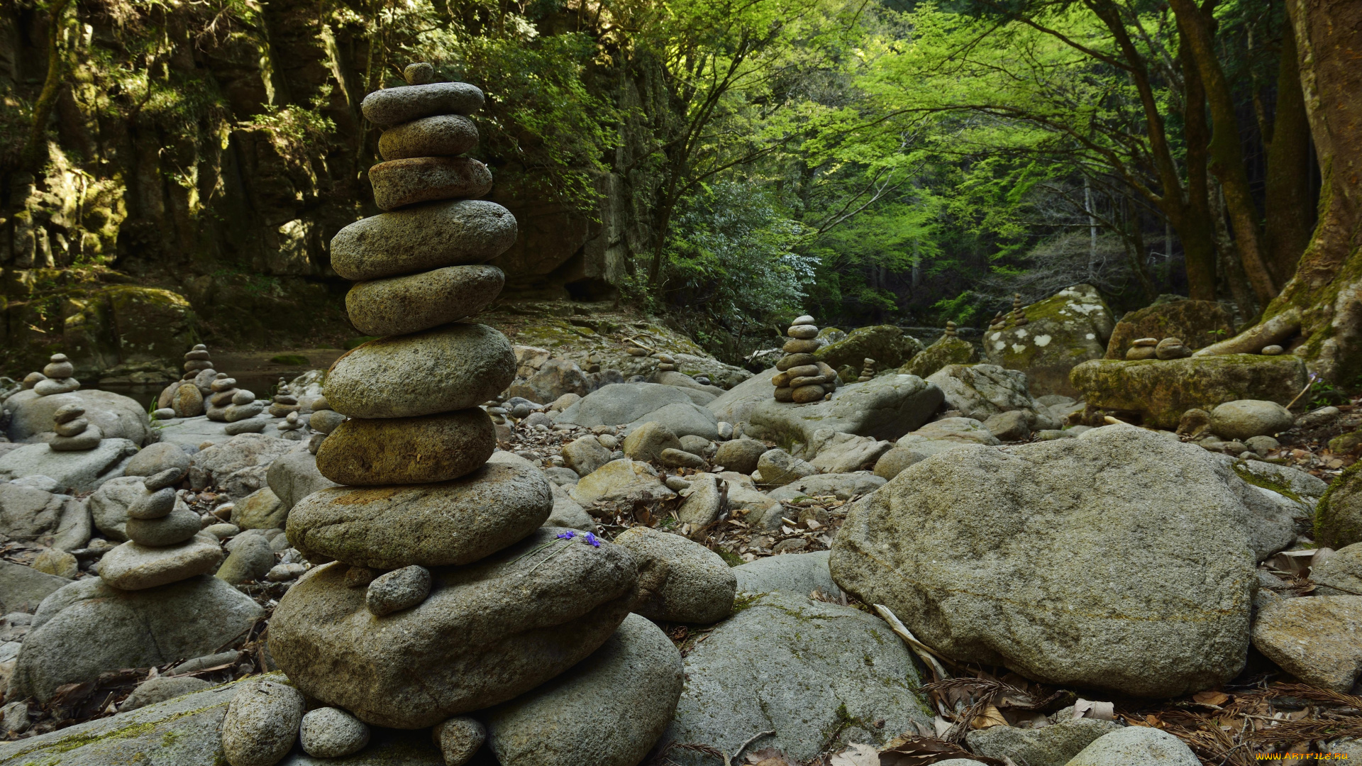 природа, камни, минералы, лес